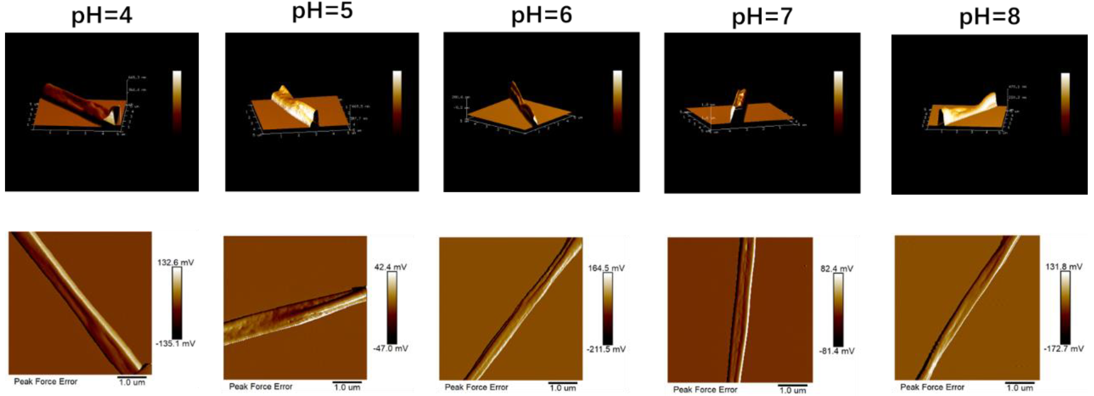 Foods 12 01395 g007 Foods 12 01395 g007