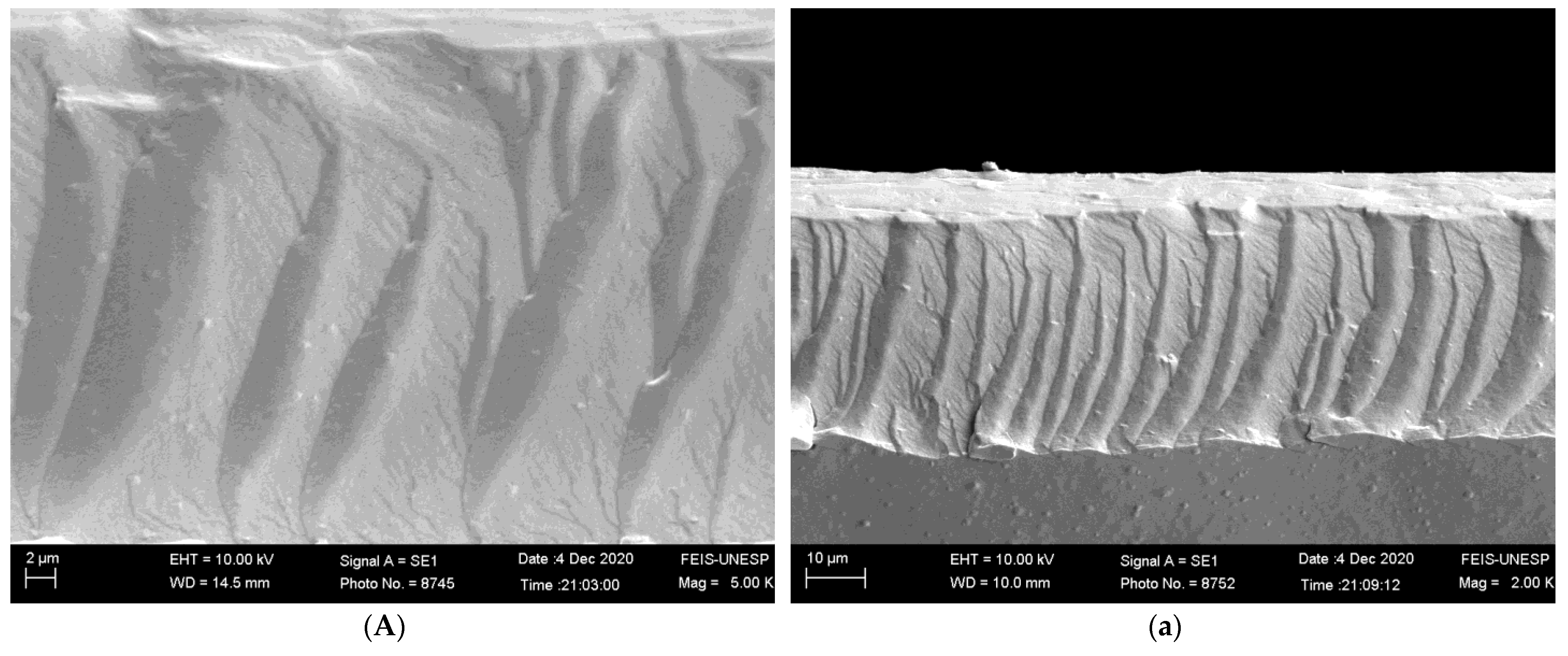 Foods 12 01405 g001a Foods 12 01405 g001a