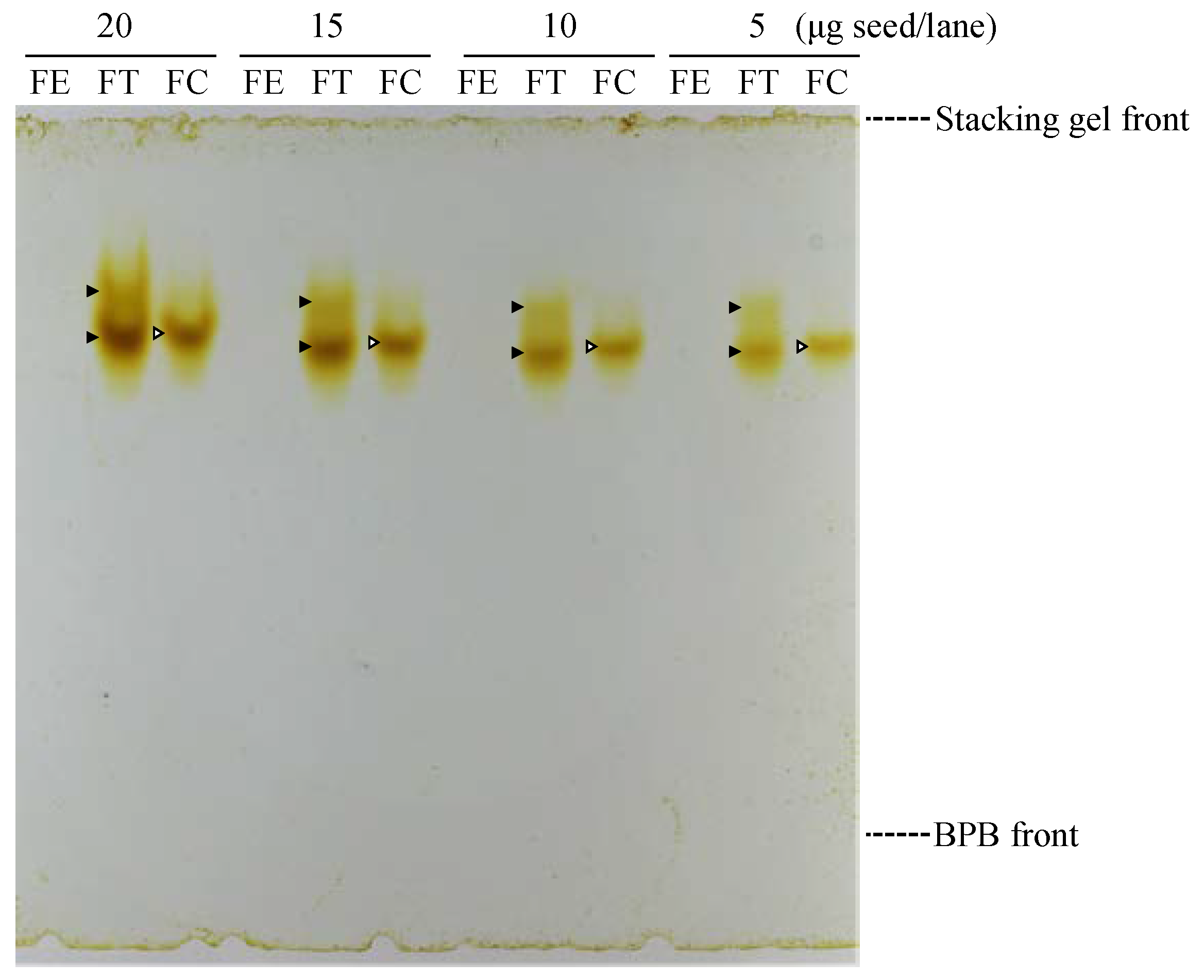 Foods 12 01417 g002 Foods 12 01417 g002