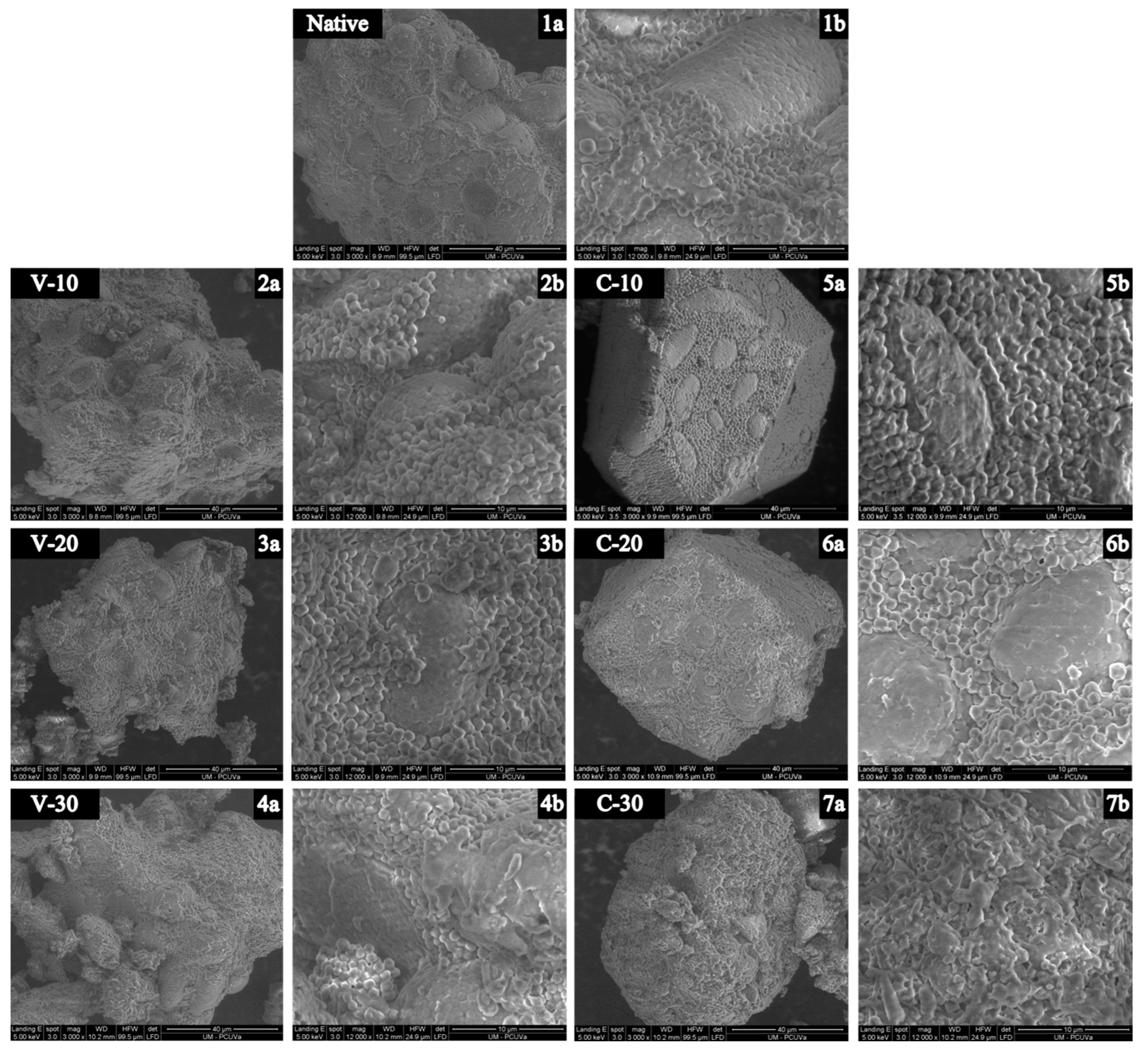 Foods 12 01421 g001 Foods 12 01421 g001