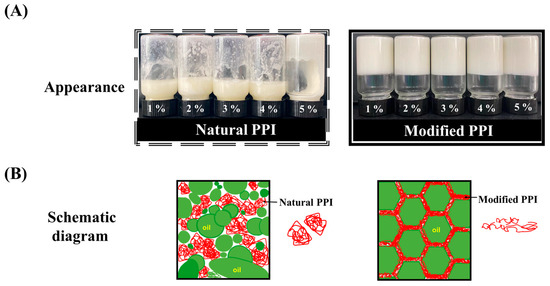 Y S‼️ Vat Photopolymerization-Based Additive Manufacturing of