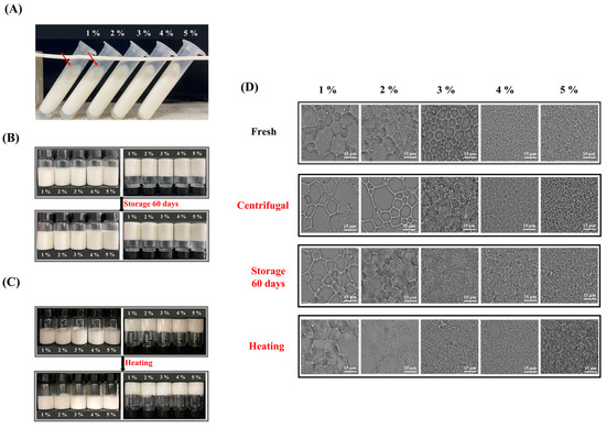 High Internal Phase Emulsions Stabilized by Pea Protein