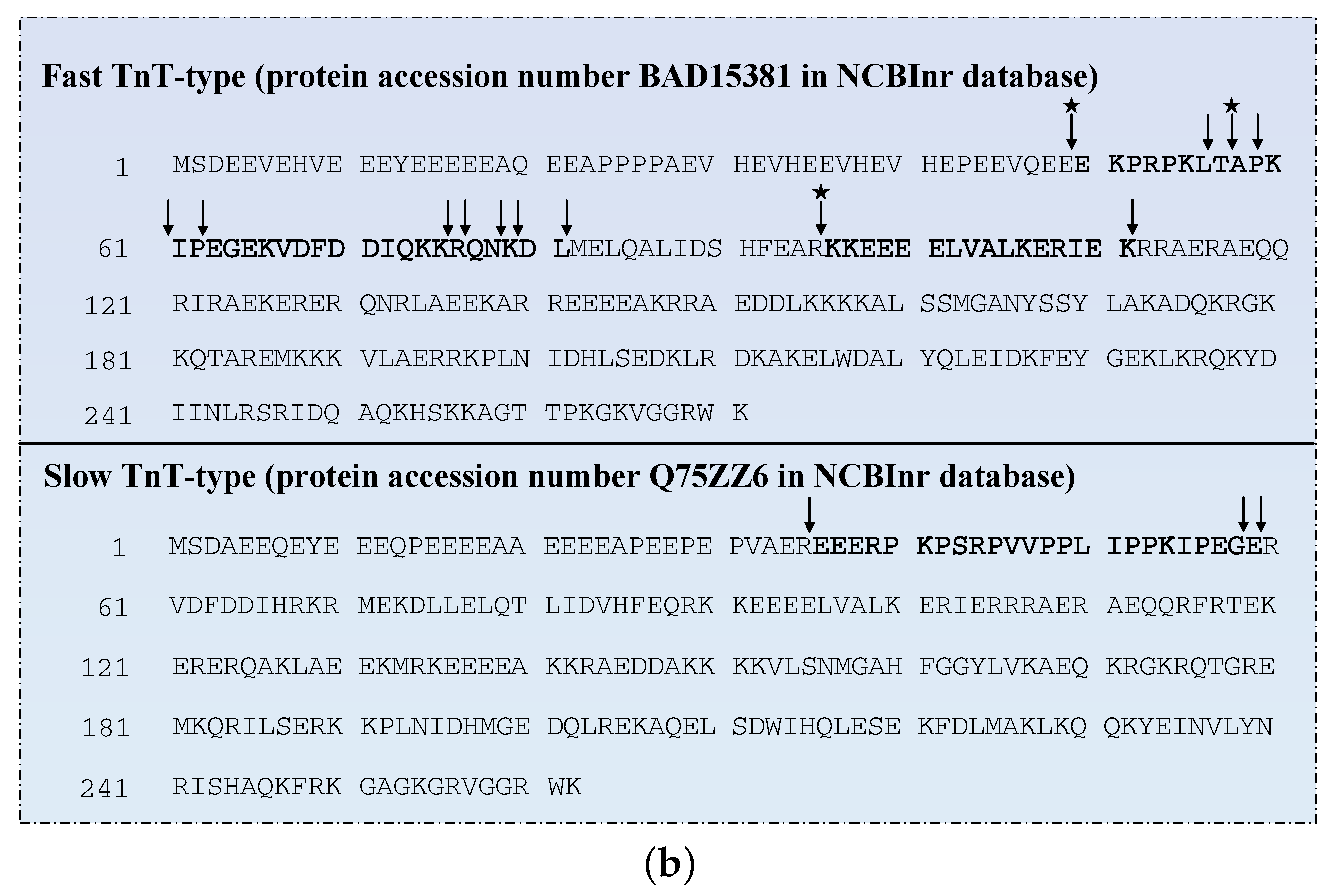Foods 12 01454 g003b