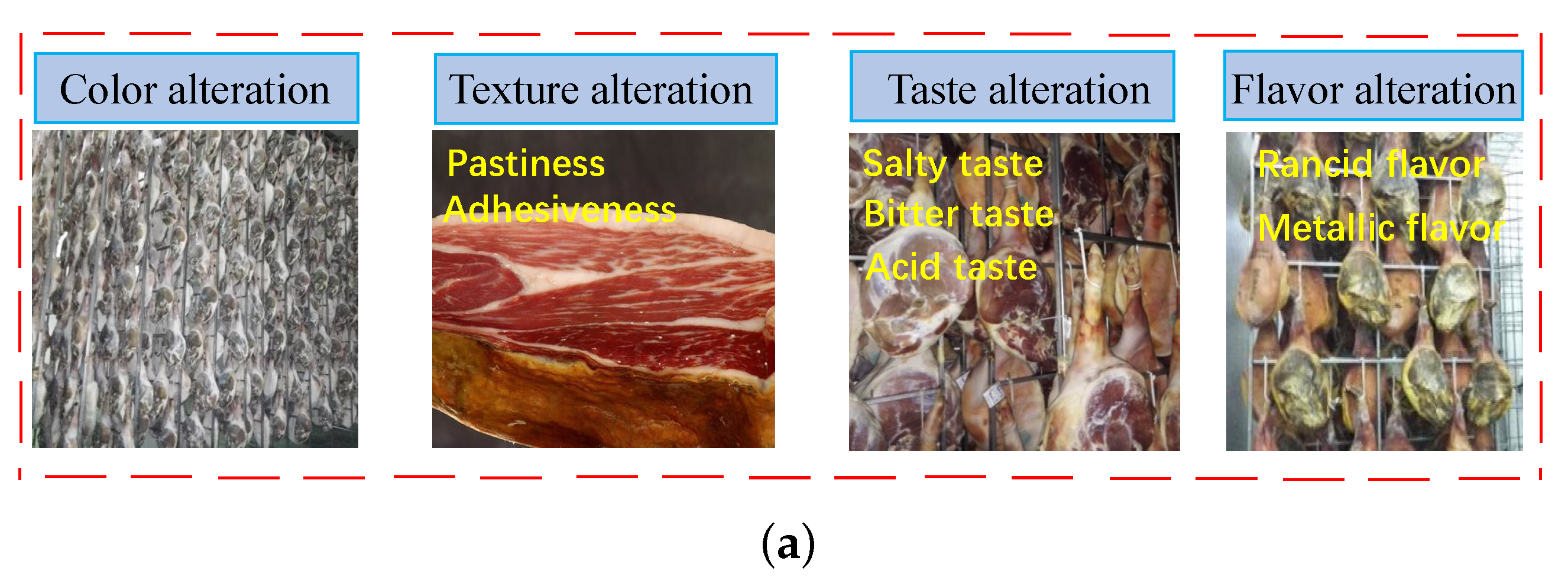 Foods 12 01454 g005a