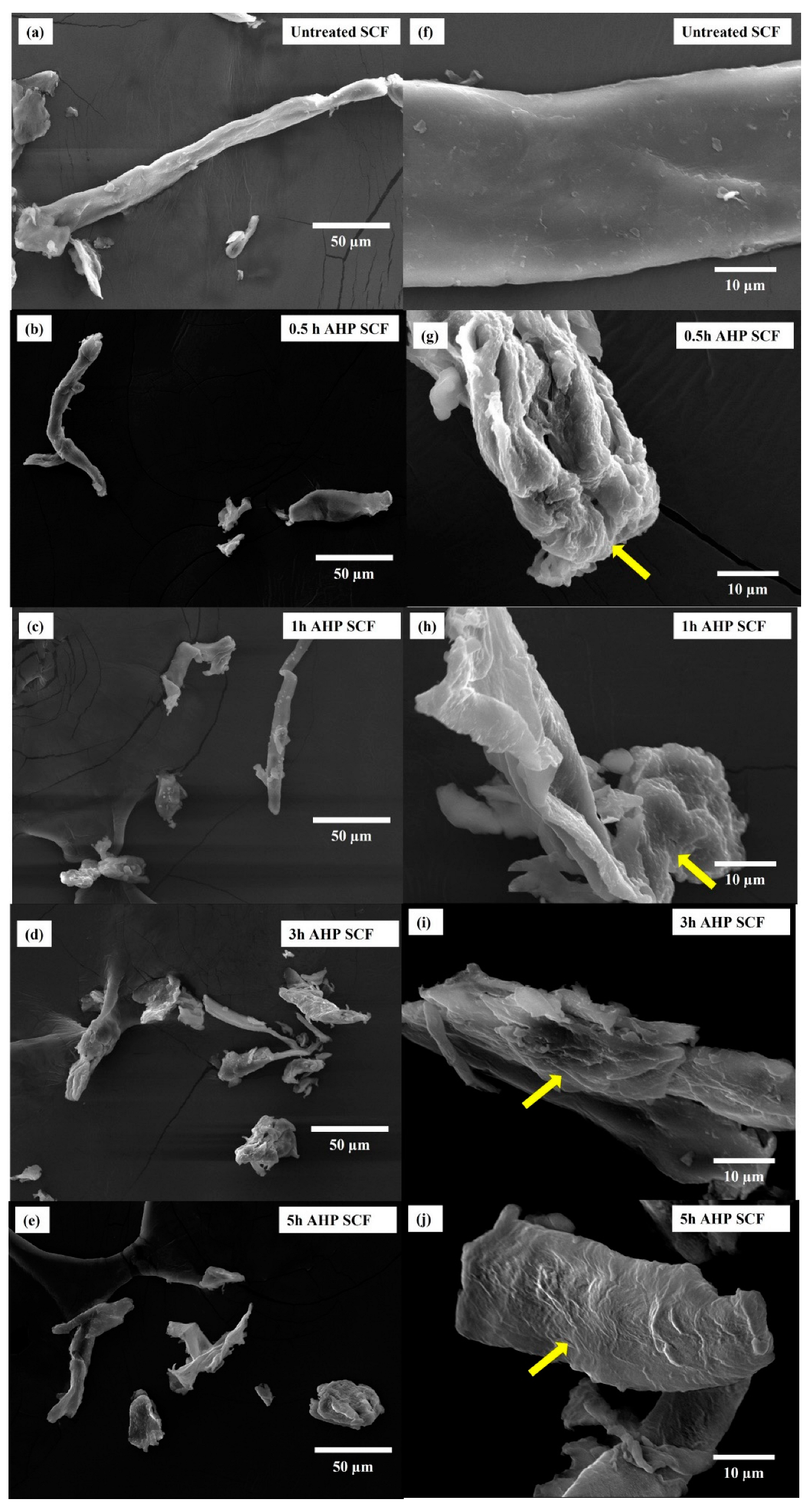 Foods 12 01460 g003 Foods 12 01460 g003