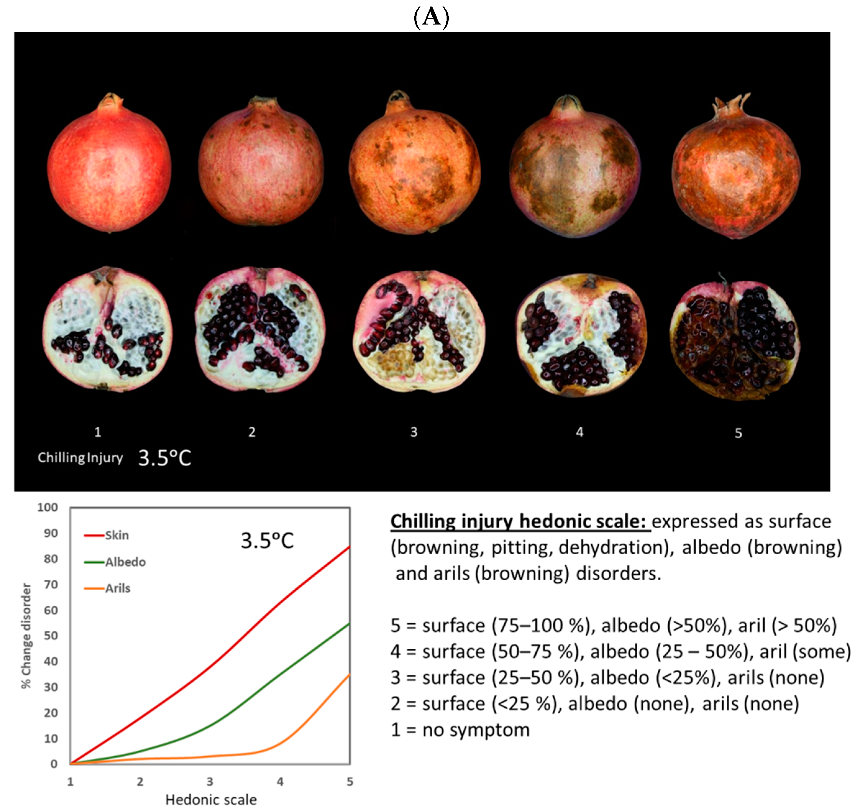 Foods 12 01462 g003a Foods 12 01462 g003a