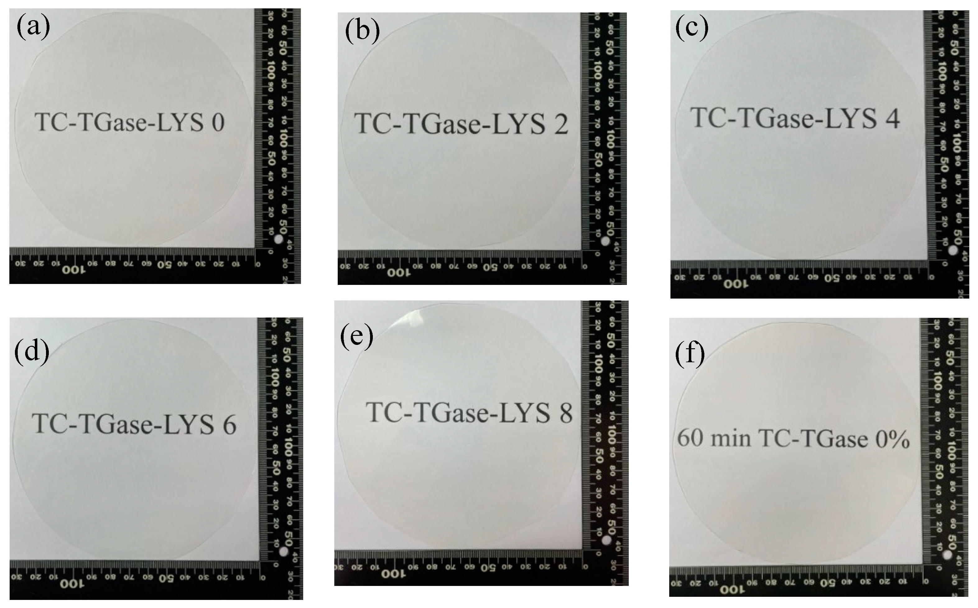 Foods 12 01475 g001 Foods 12 01475 g001
