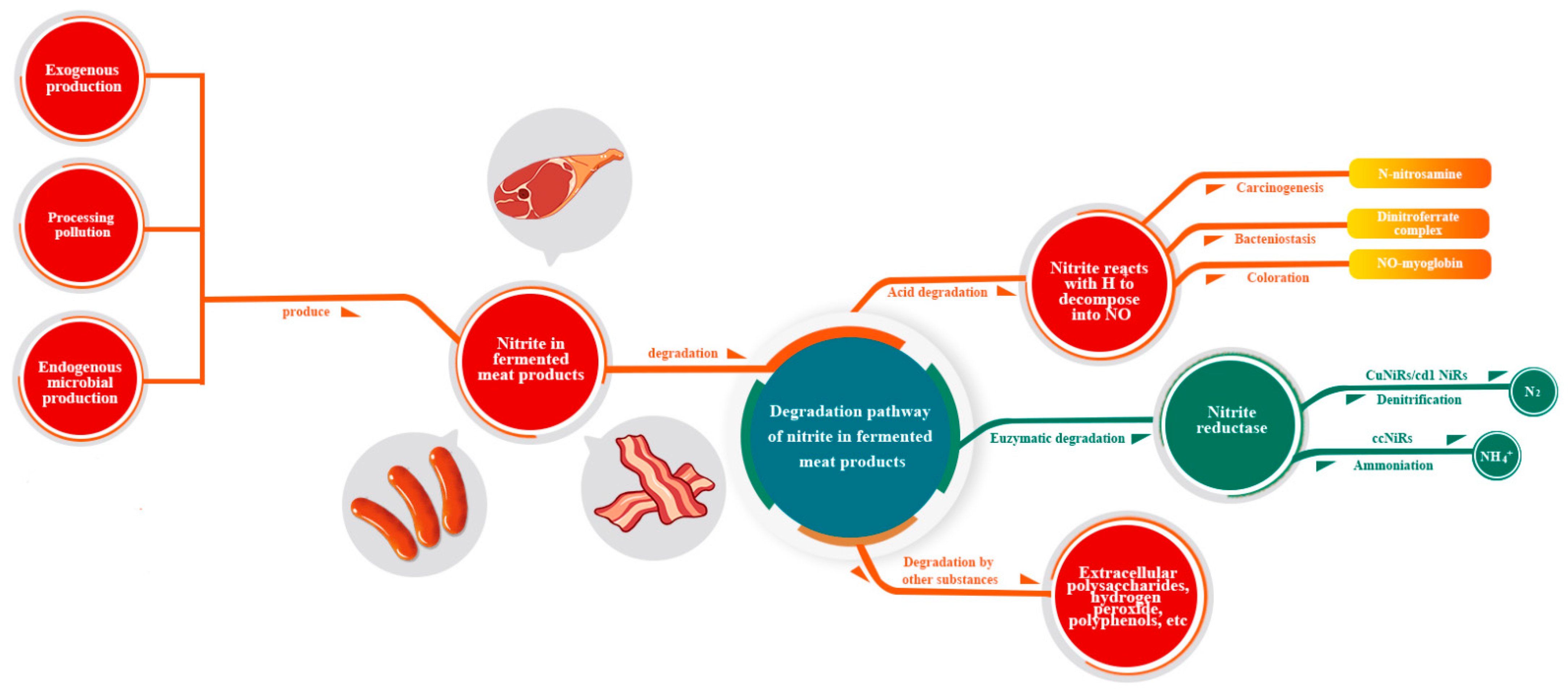 Foods 12 01485 g002 Foods 12 01485 g002