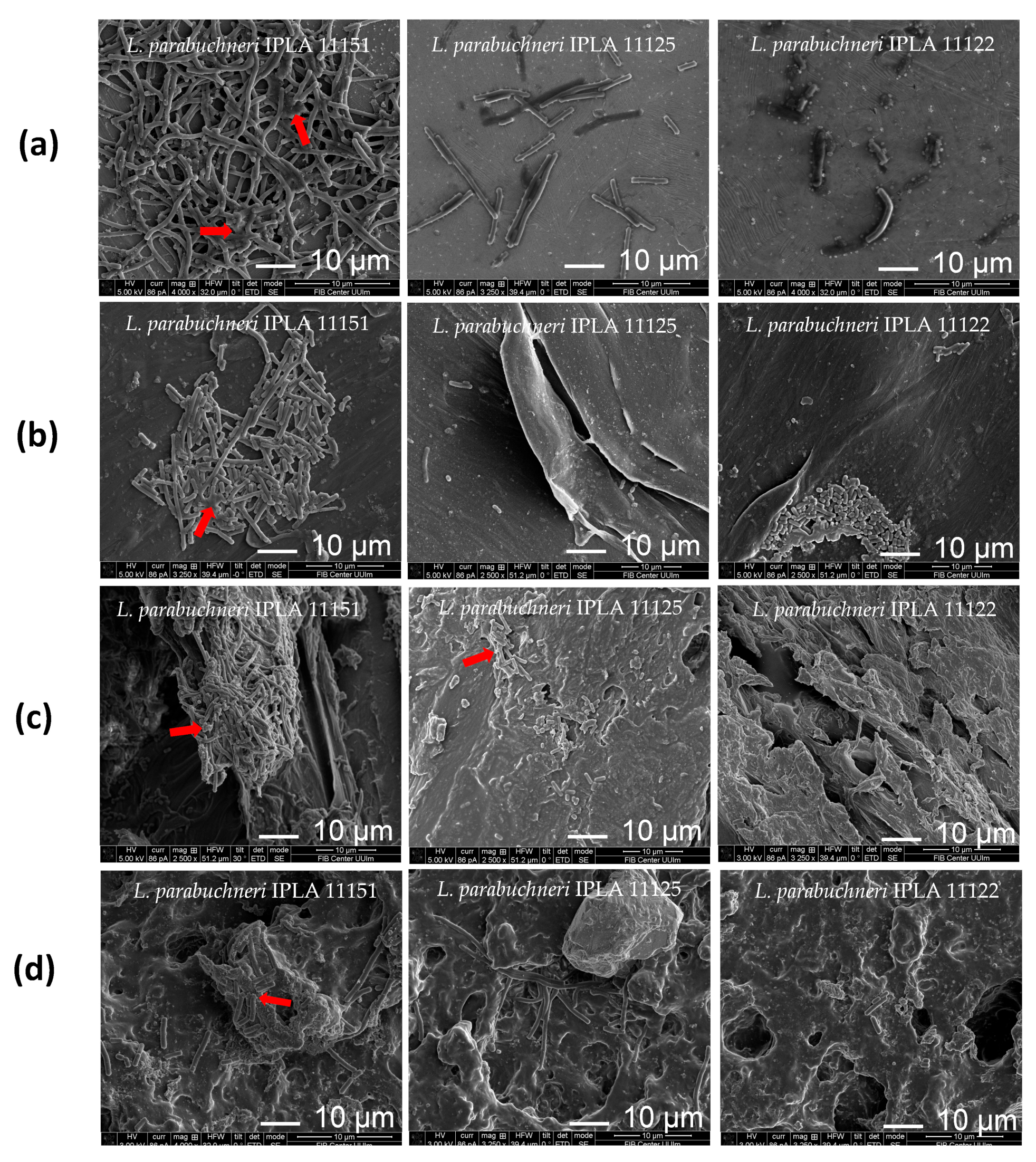 Foods 12 01503 g008 Foods 12 01503 g008