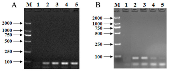 A Novel Cu2+ Quantitative Detection Nucleic Acid Biosensors