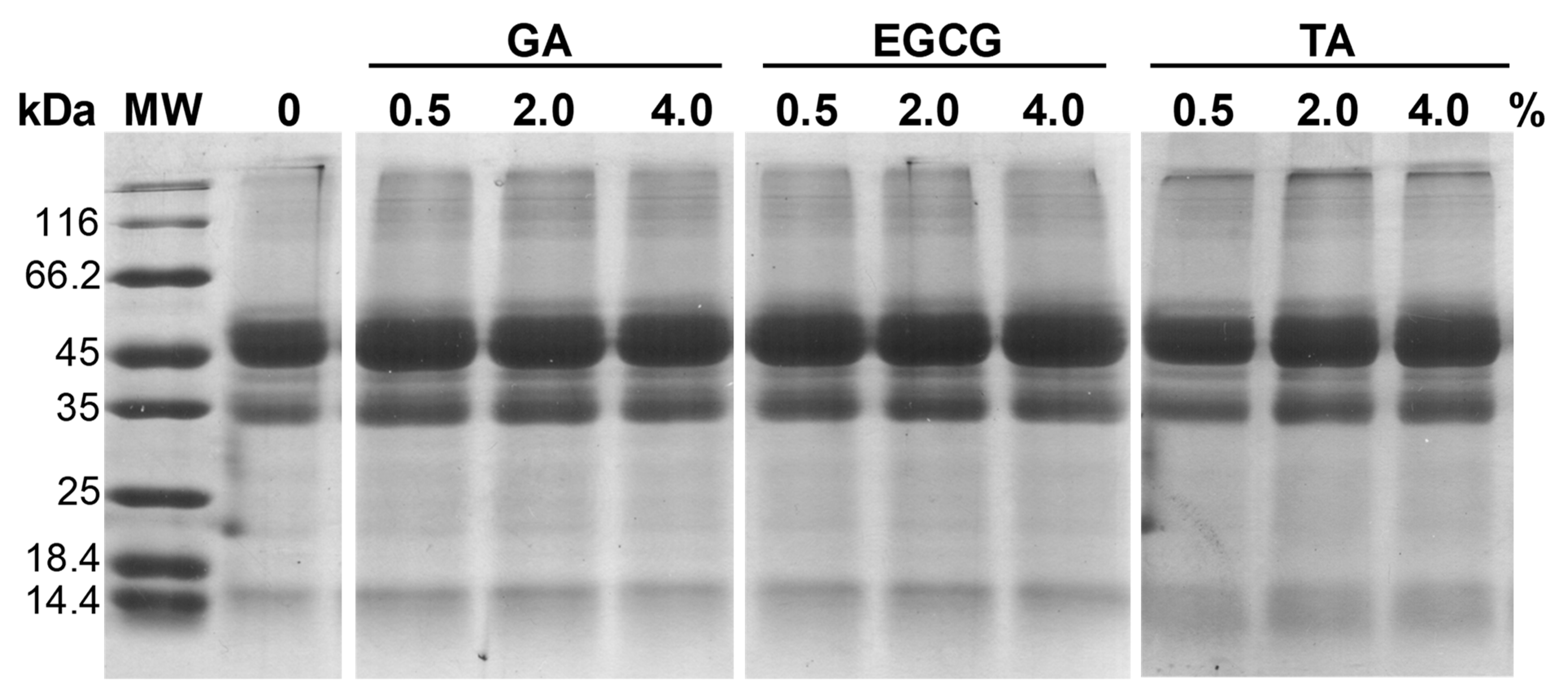 Foods 12 01506 g003 Foods 12 01506 g003