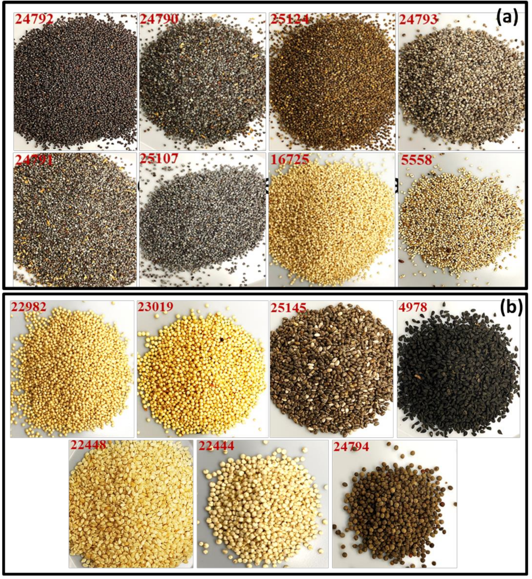 Foods 12 01510 g001 Foods 12 01510 g001