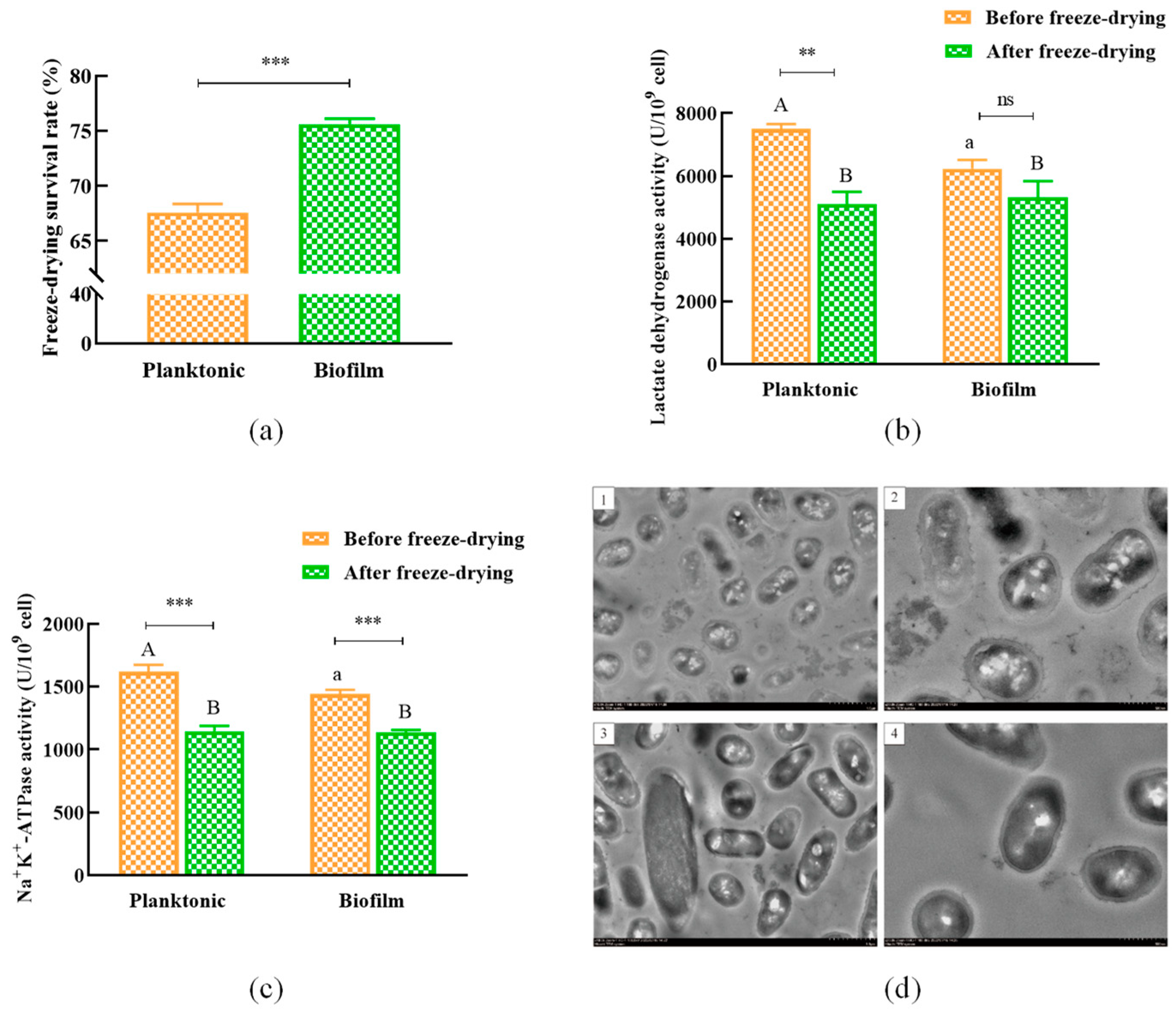Foods 12 01516 g005 Foods 12 01516 g005