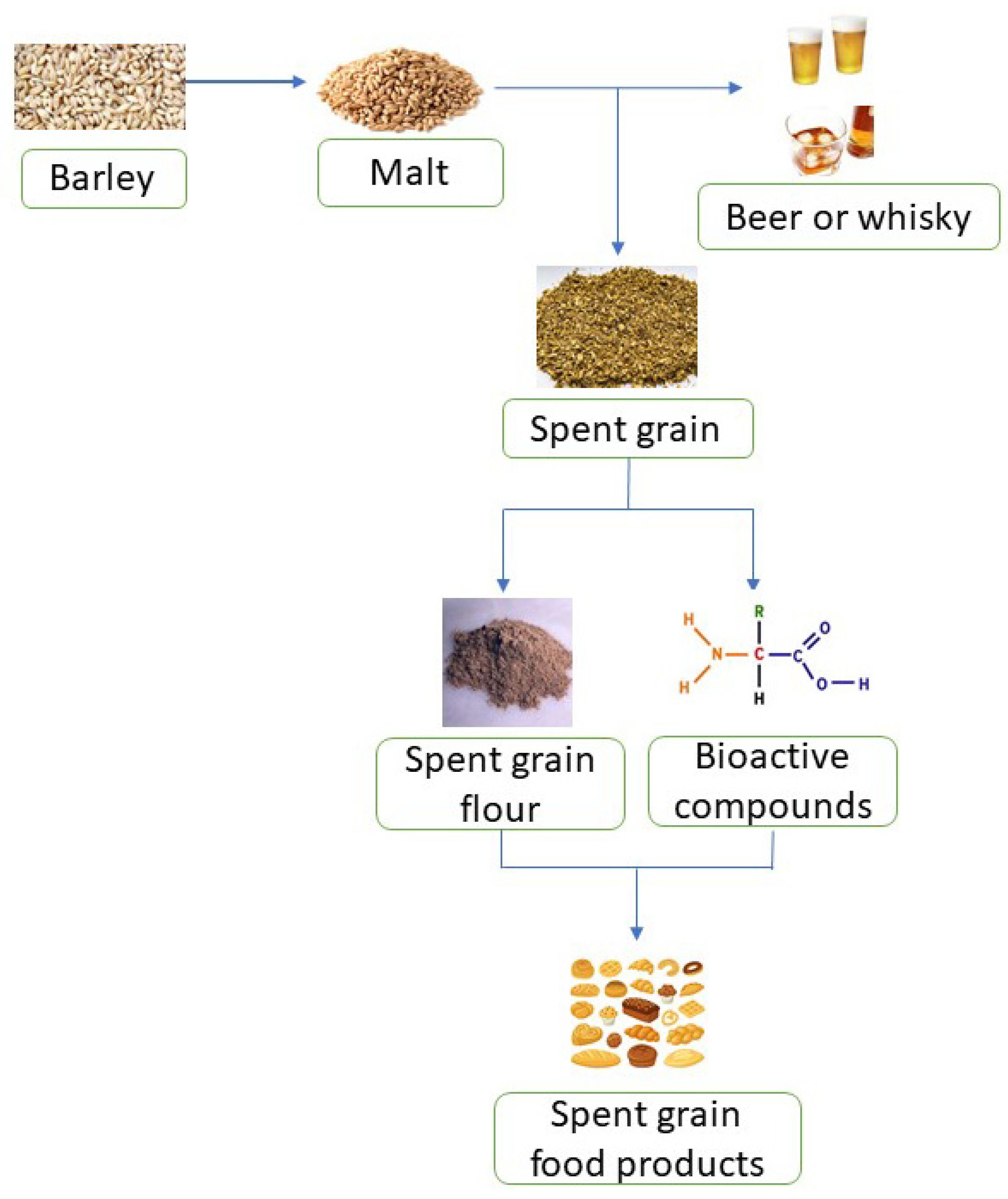 Foods 12 01533 g001 Foods 12 01533 g001