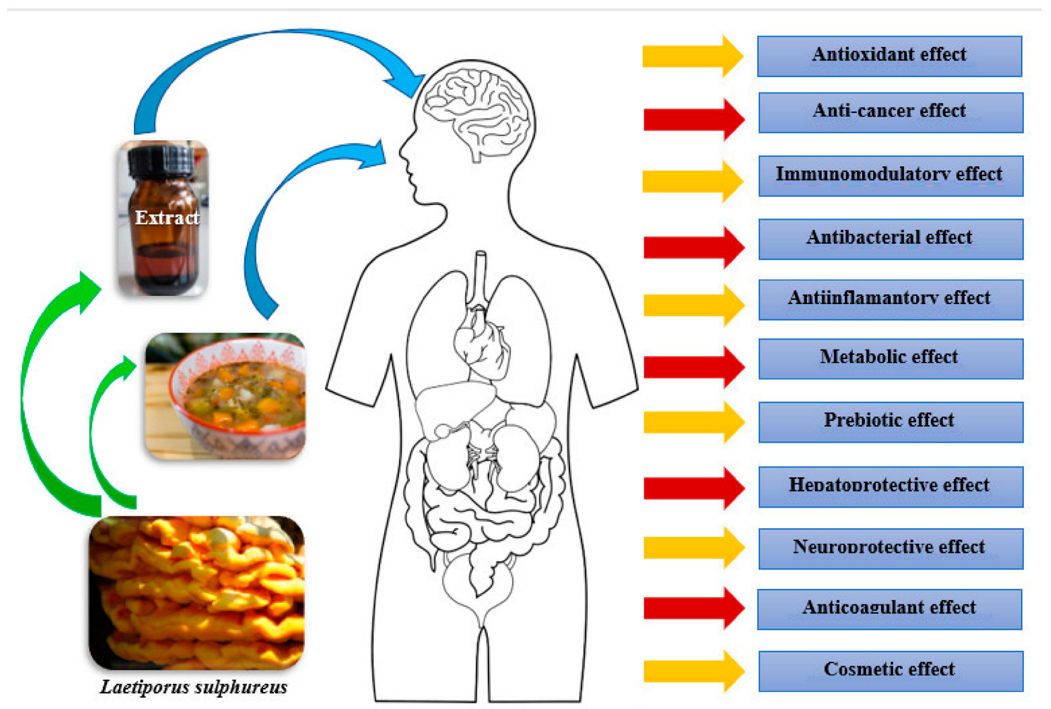 Foods 12 01539 g004 Foods 12 01539 g004