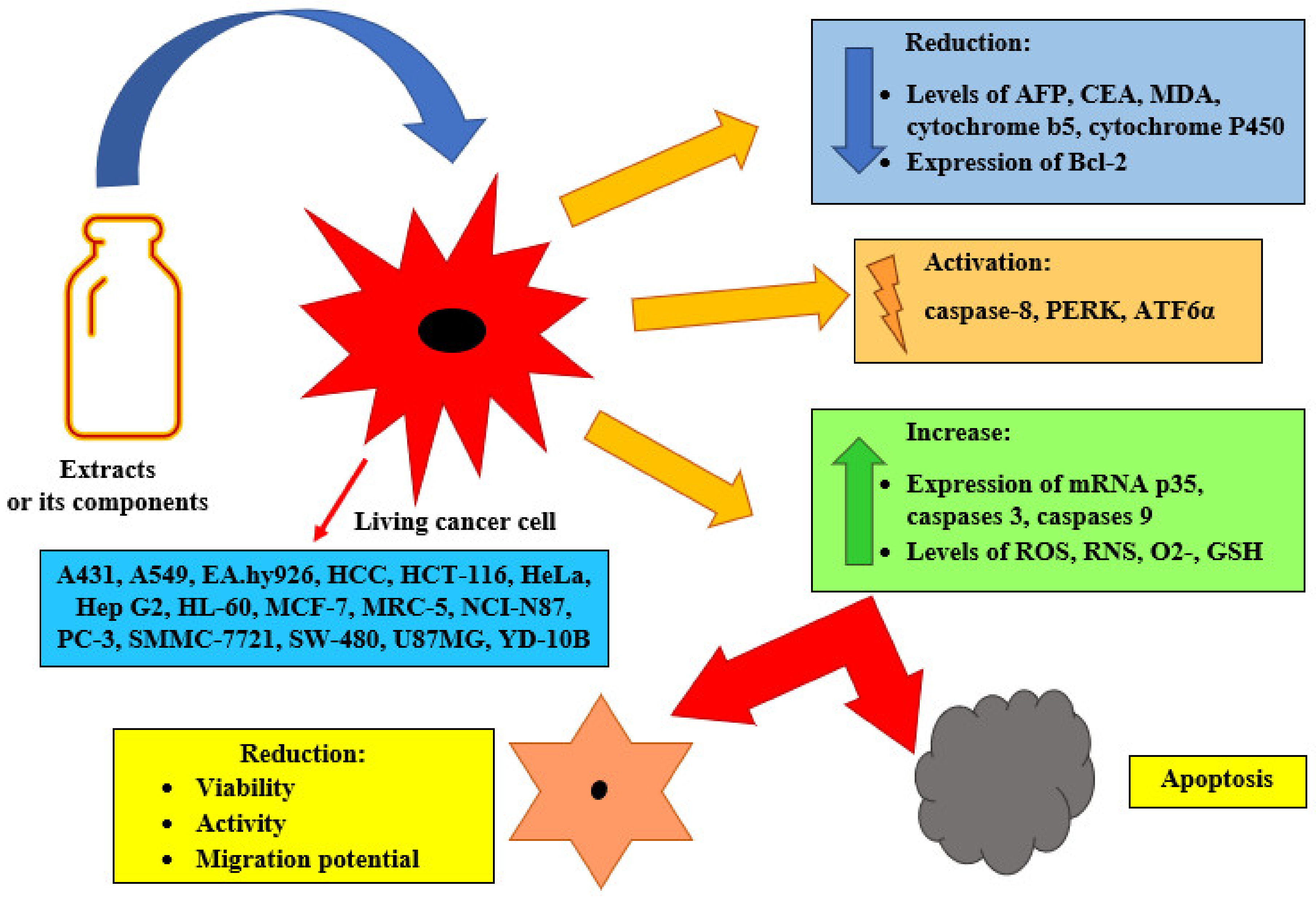 Foods 12 01539 g005 Foods 12 01539 g005