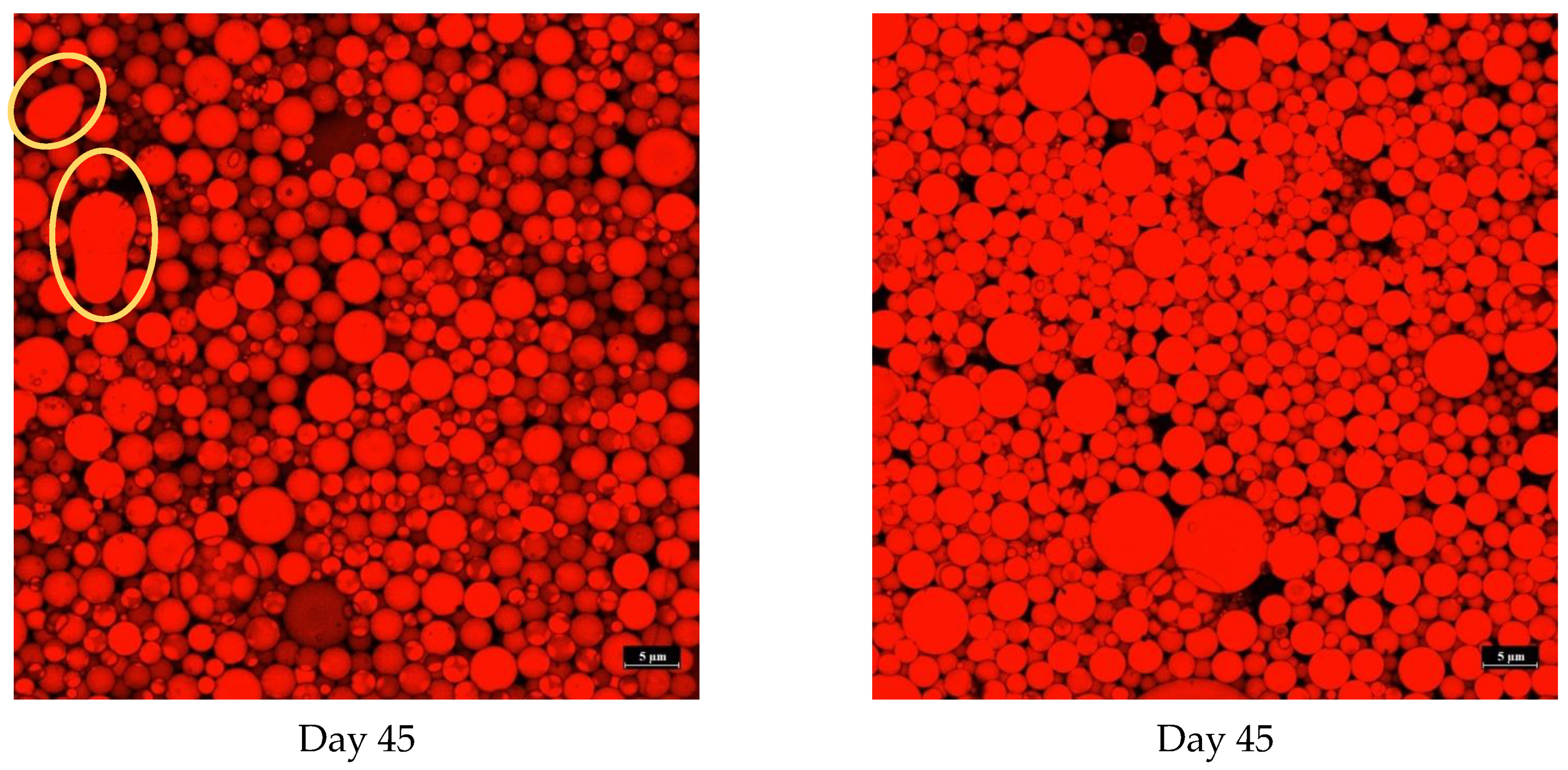 Foods 12 01556 g005b