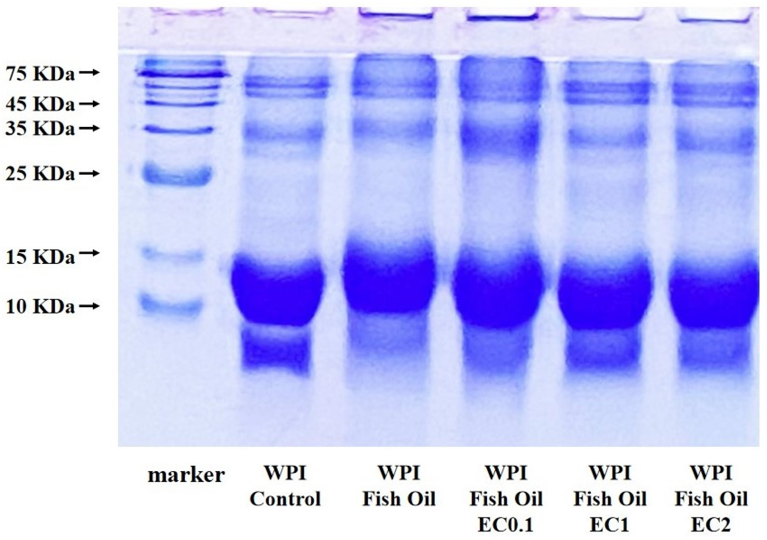 Foods 12 01559 g004 Foods 12 01559 g004