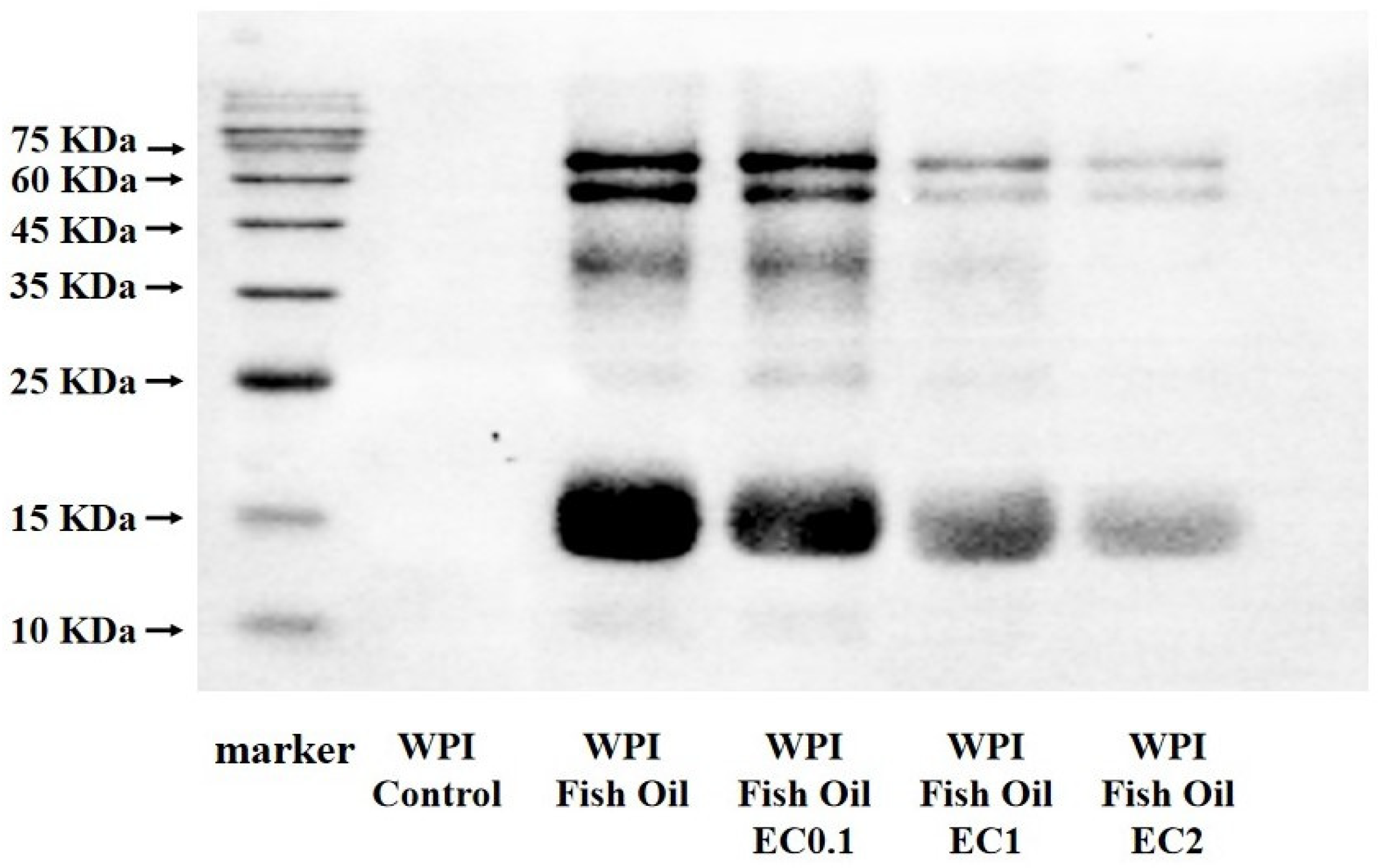 Foods 12 01559 g005 Foods 12 01559 g005