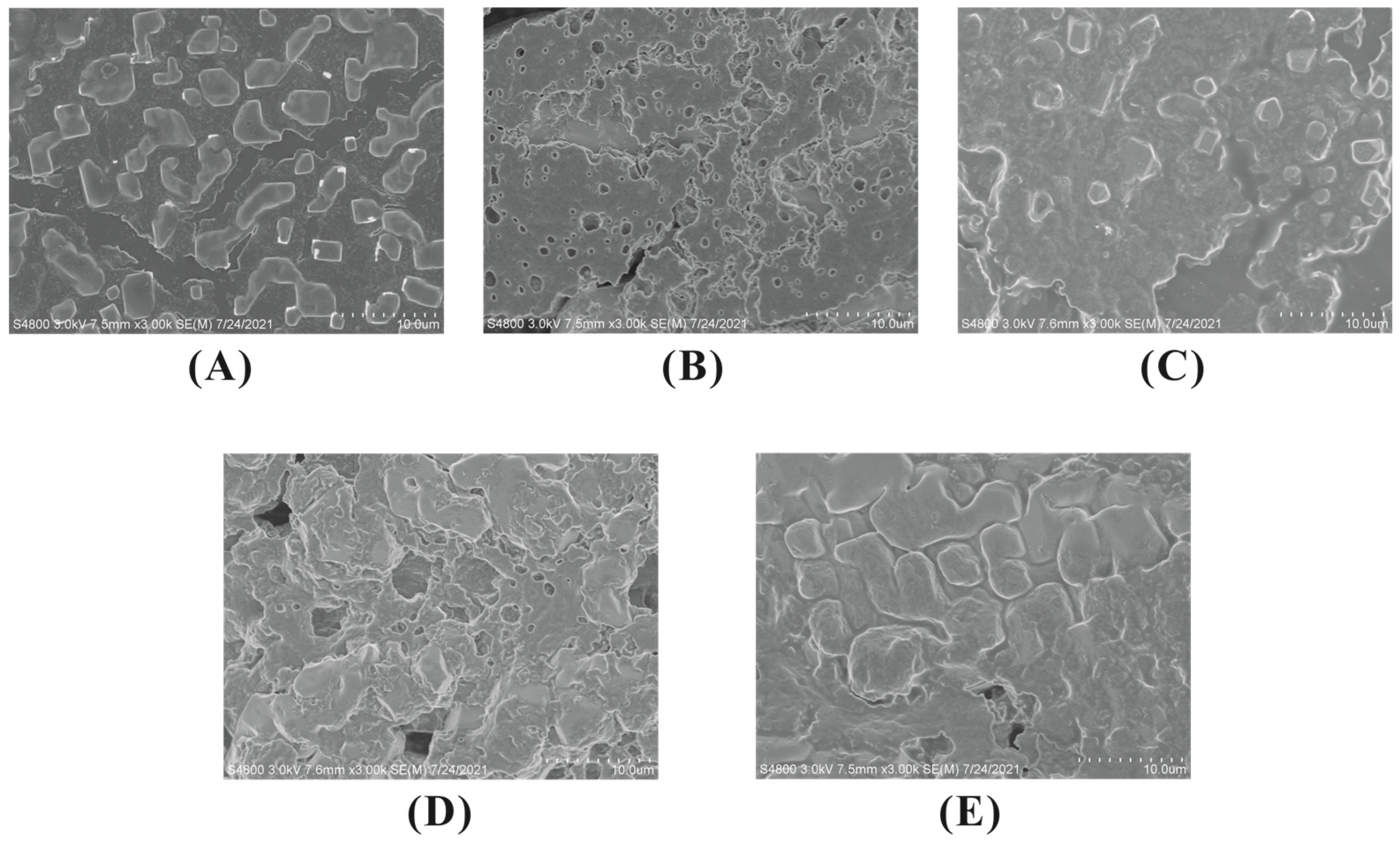 Foods 12 01559 g006 Foods 12 01559 g006