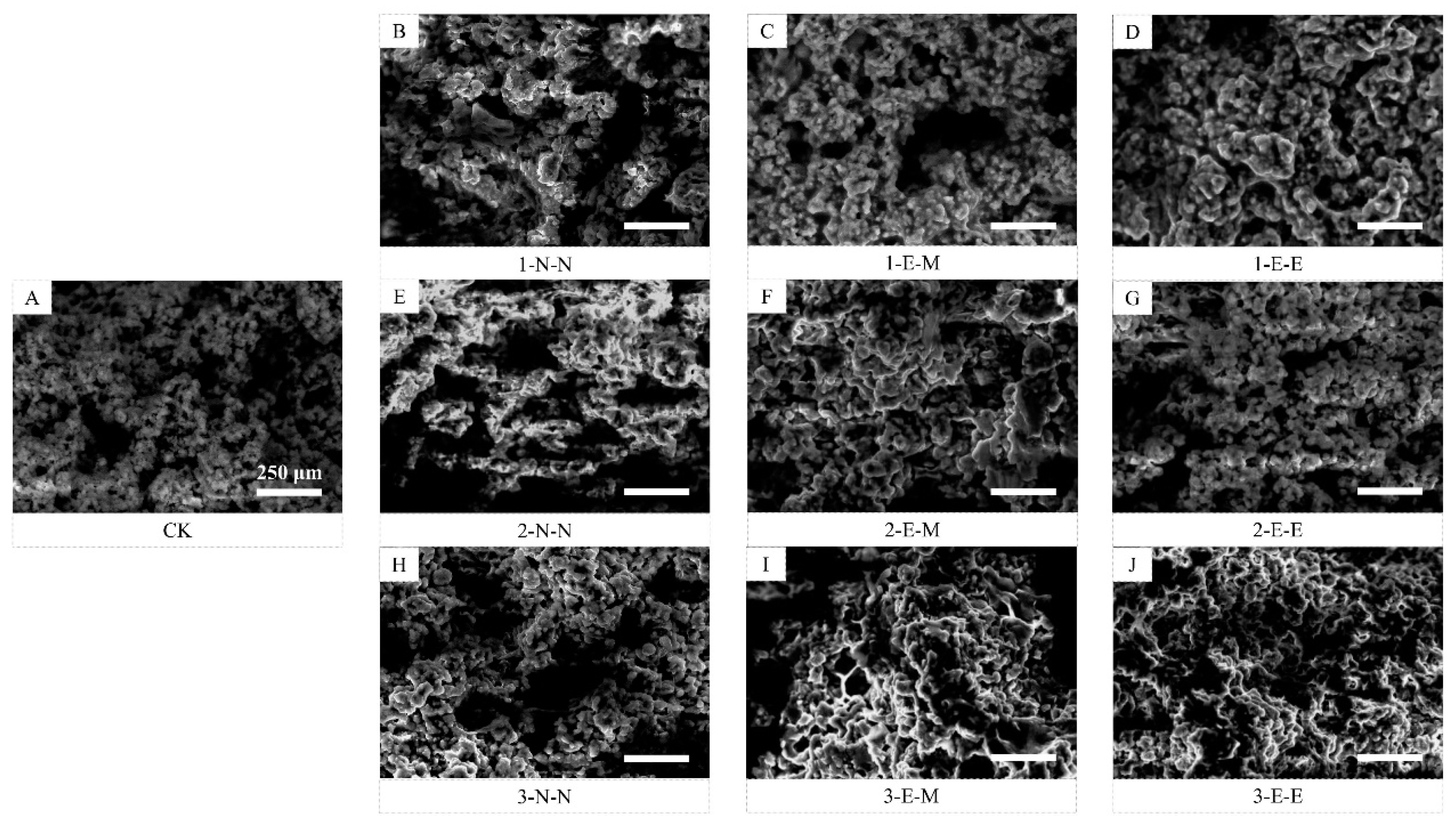 Foods Free FullText Effects of LowFrequency Field