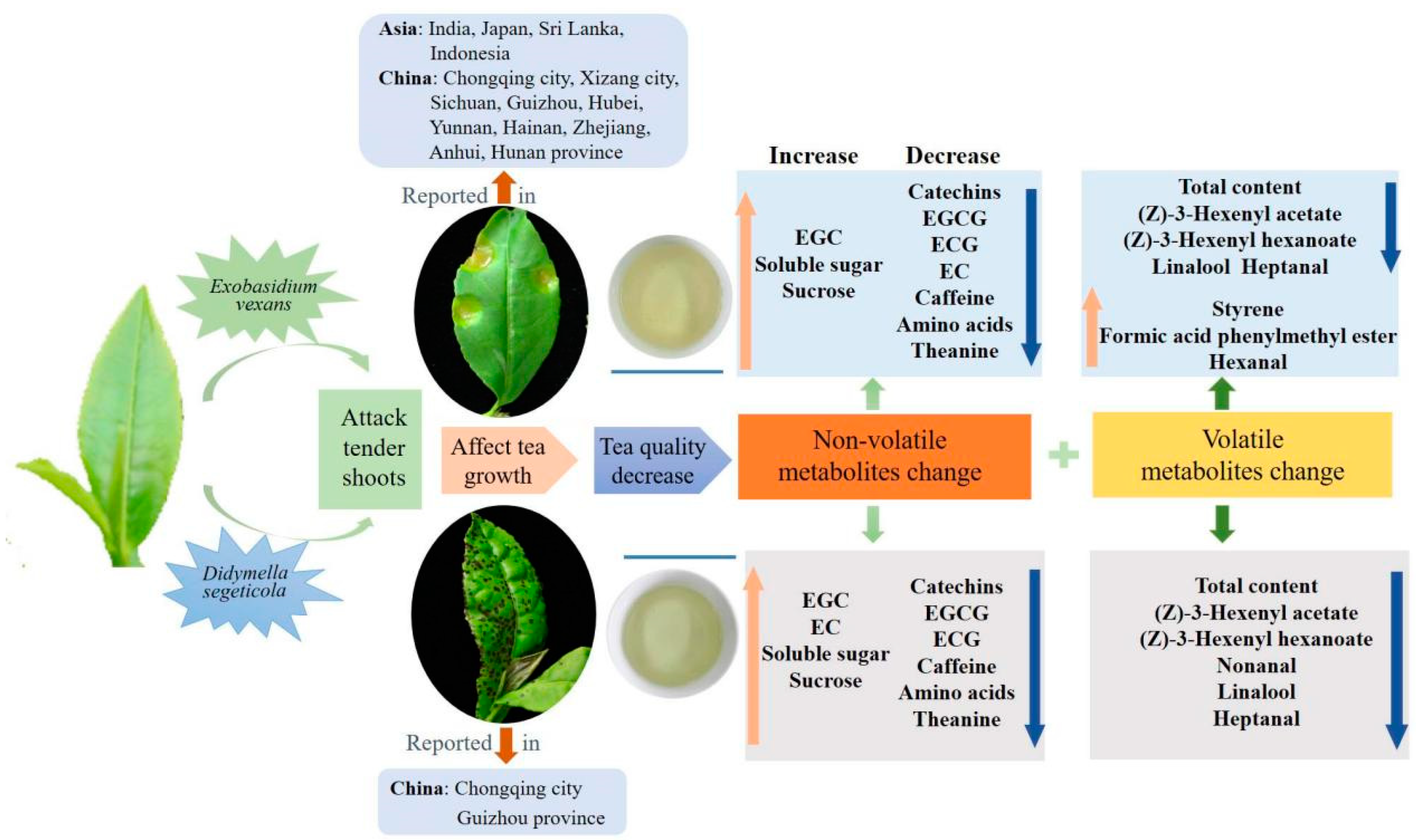 Foods 12 01568 g007 550