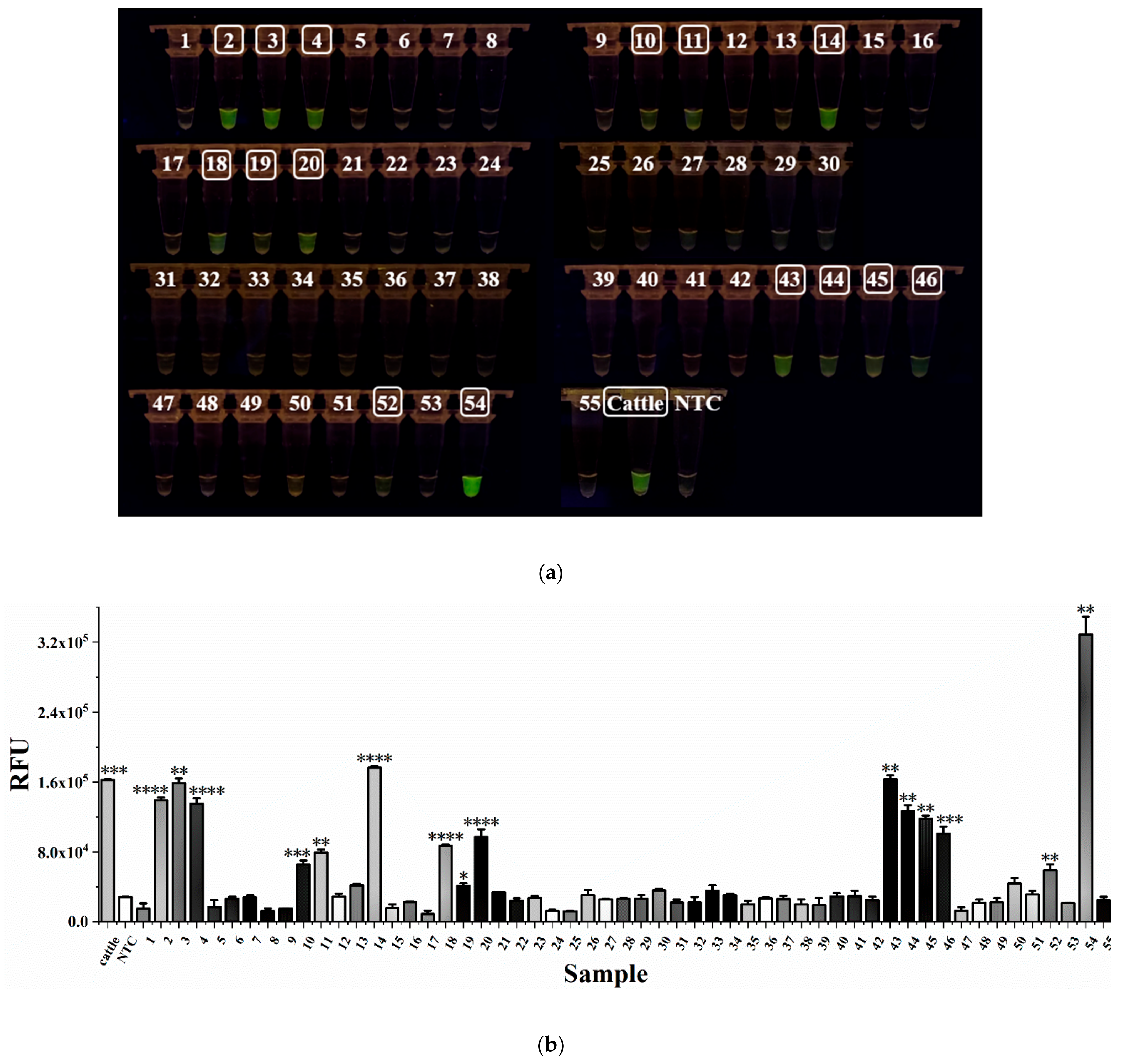 Foods 12 01569 g005 Foods 12 01569 g005