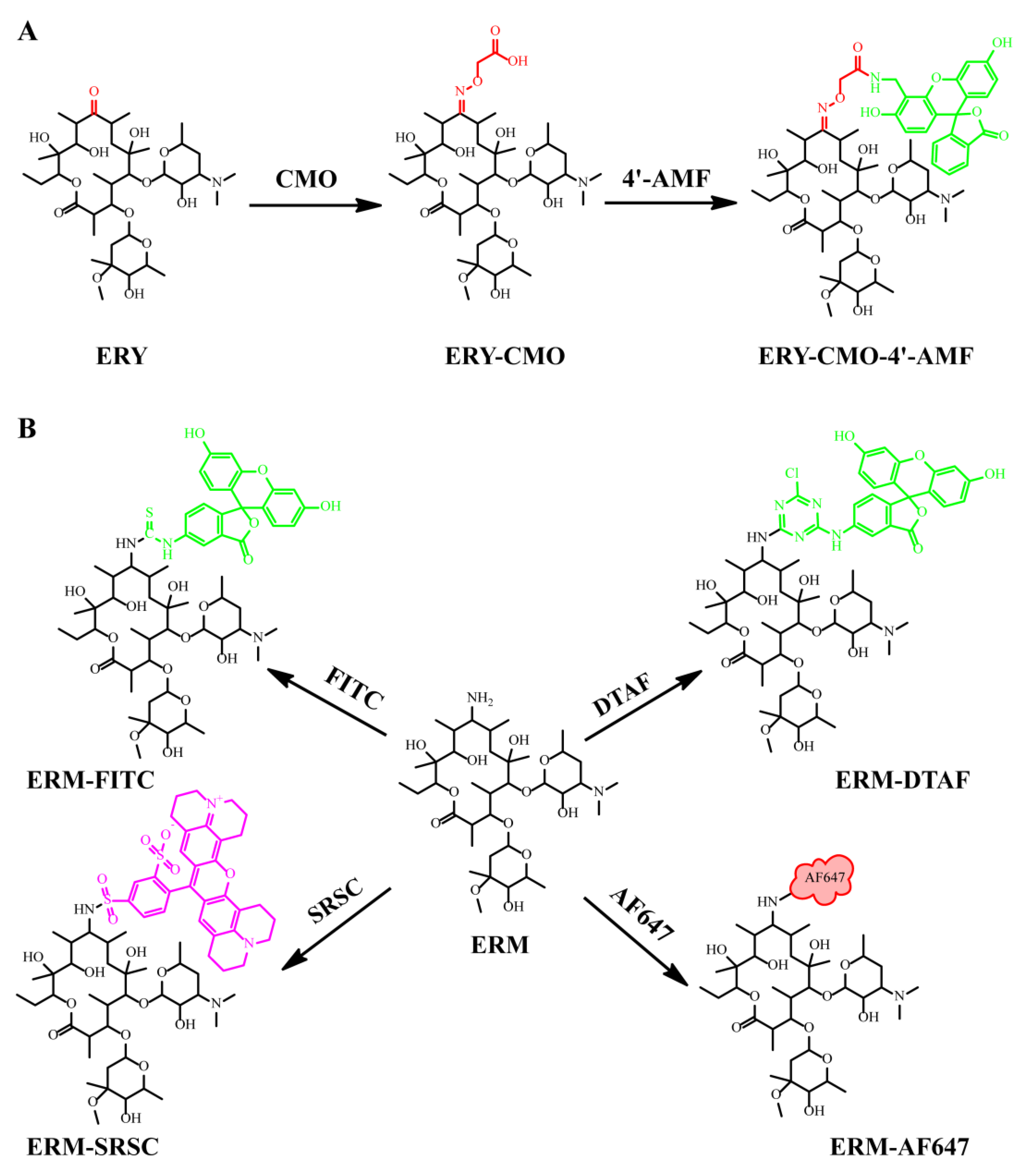 Foods 12 01581 g002 Foods 12 01581 g002