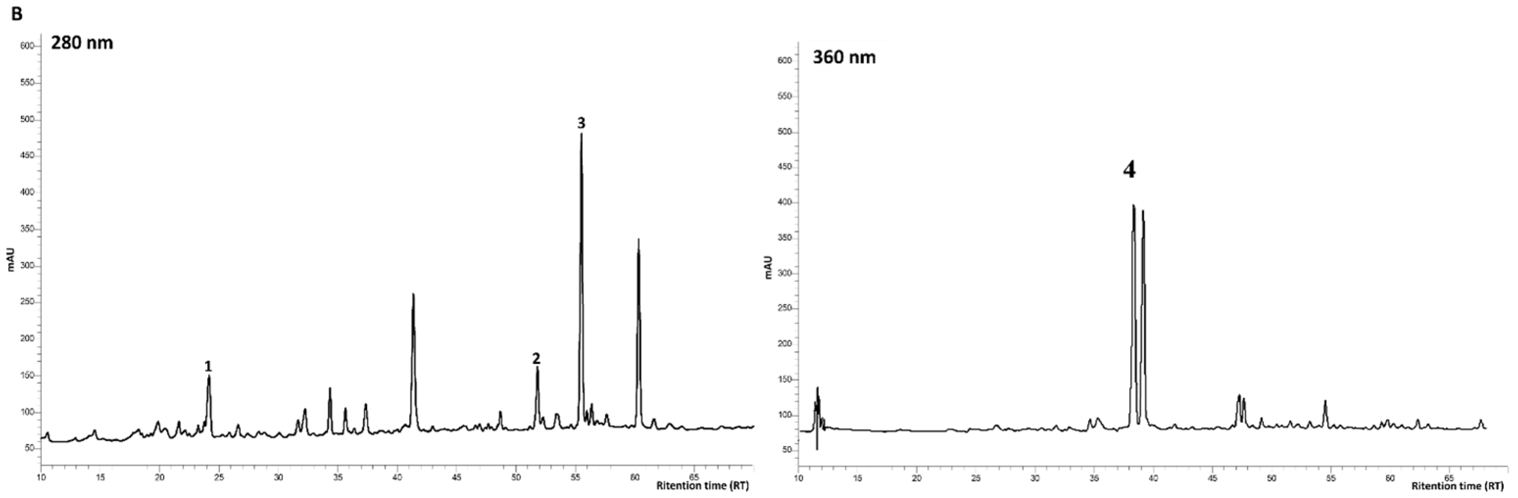 Foods 12 01592 g003b
