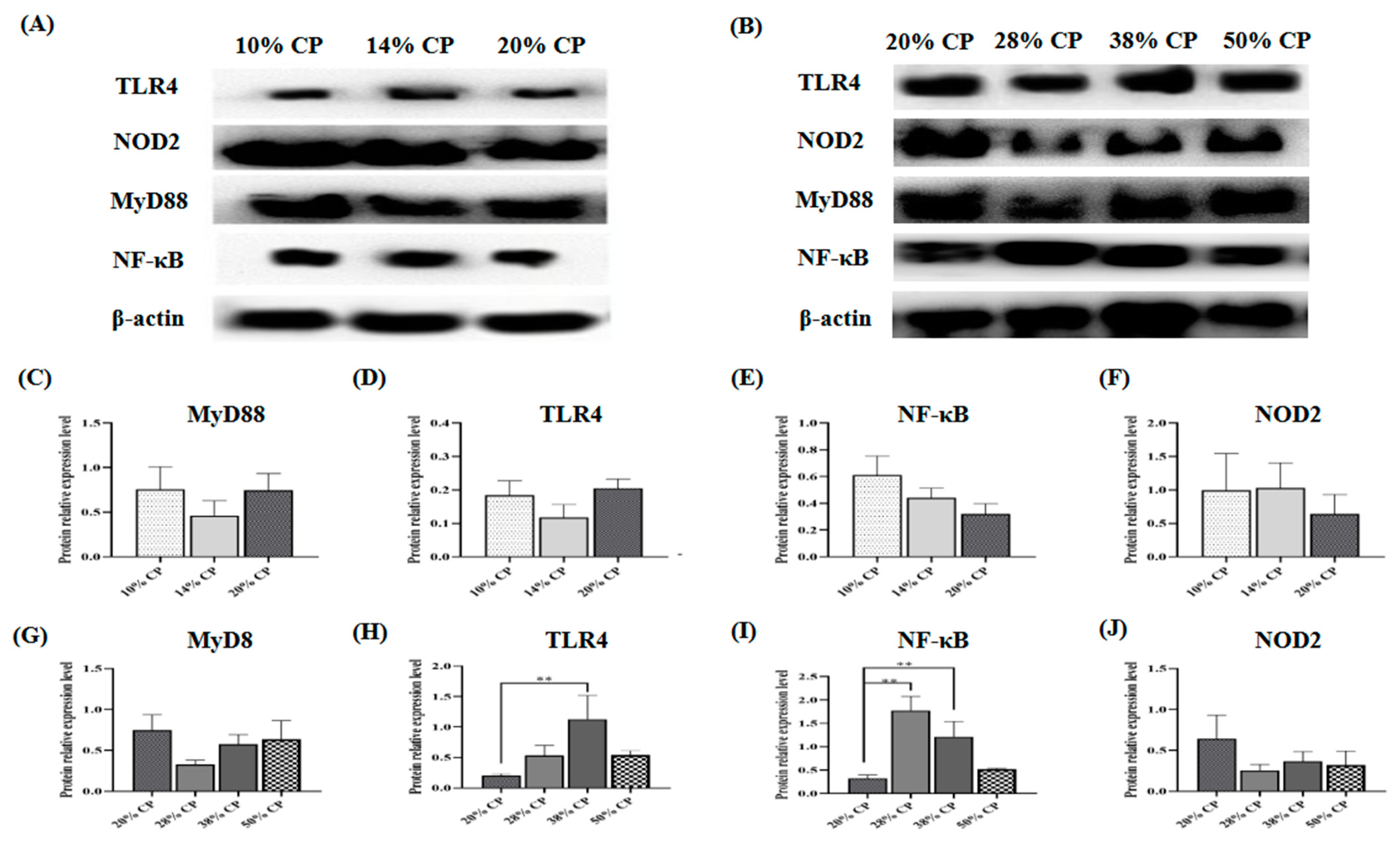 Foods 12 01597 g002 Foods 12 01597 g002