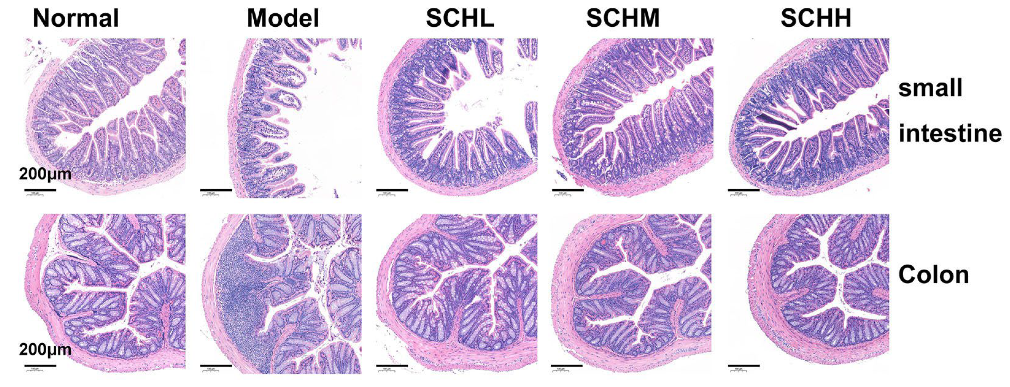 Foods 12 01604 g004 Foods 12 01604 g004