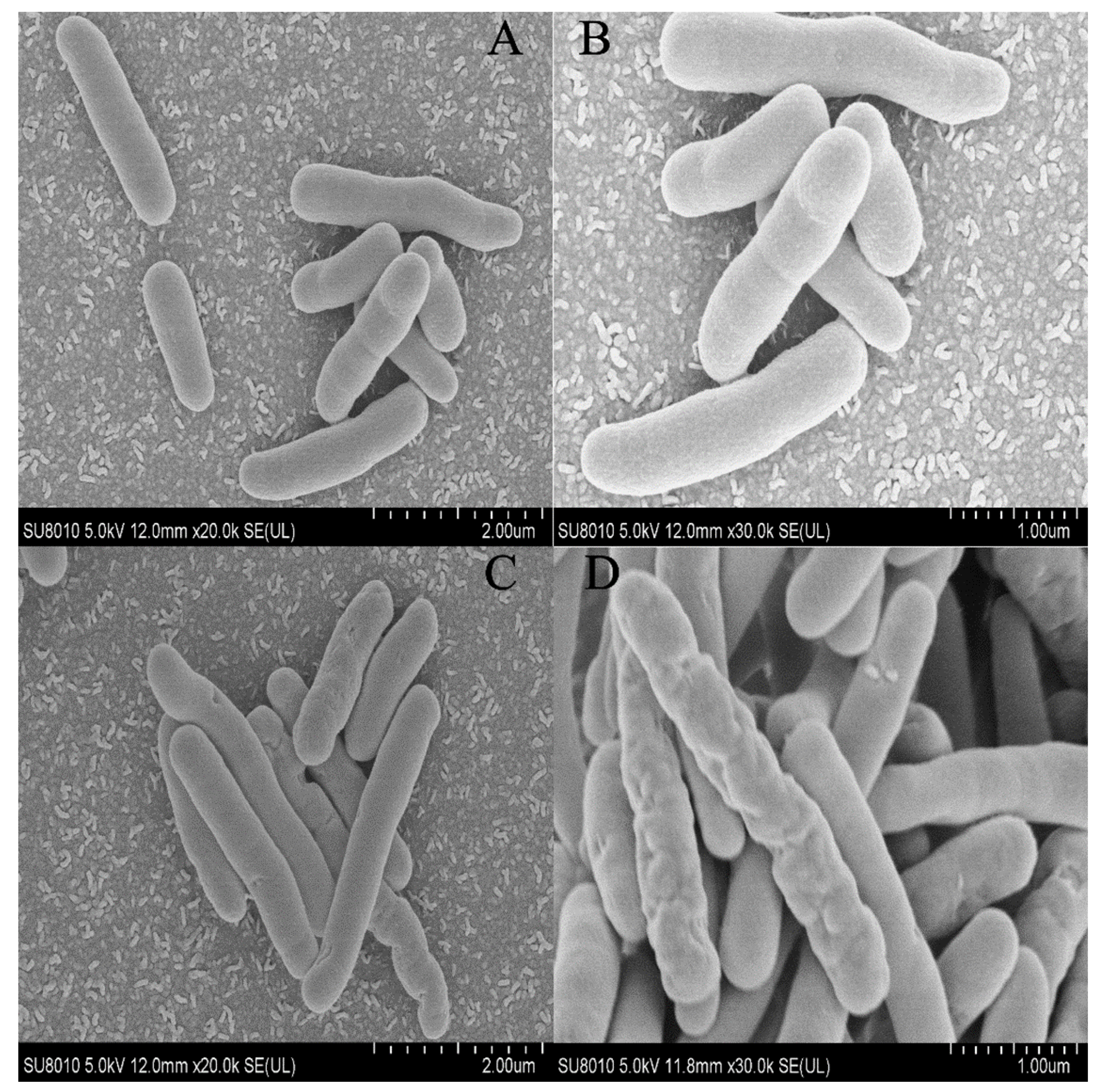 Foods 12 01605 g002 Foods 12 01605 g002