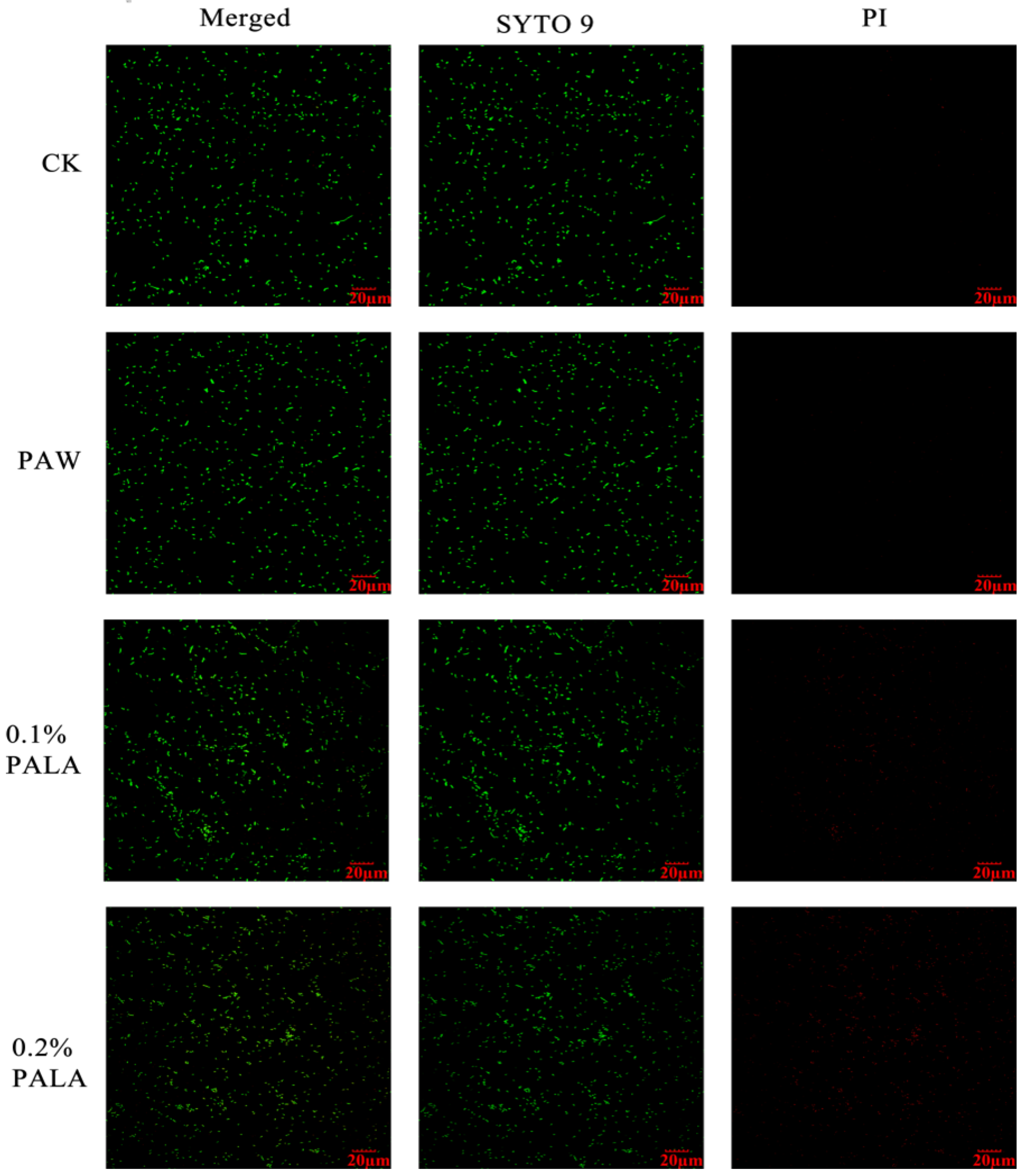 Foods 12 01605 g003 Foods 12 01605 g003