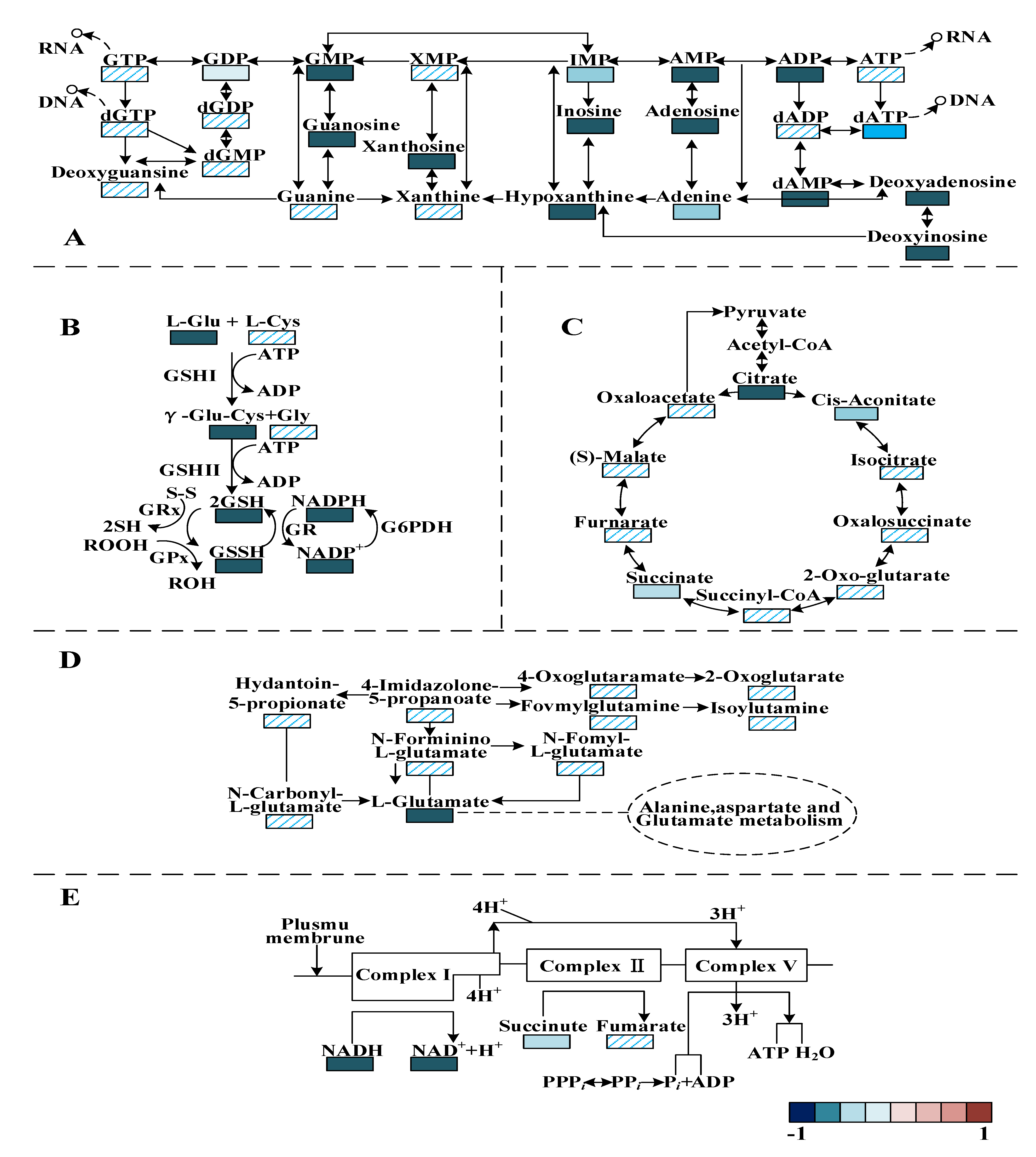 Foods 12 01605 g010 Foods 12 01605 g010