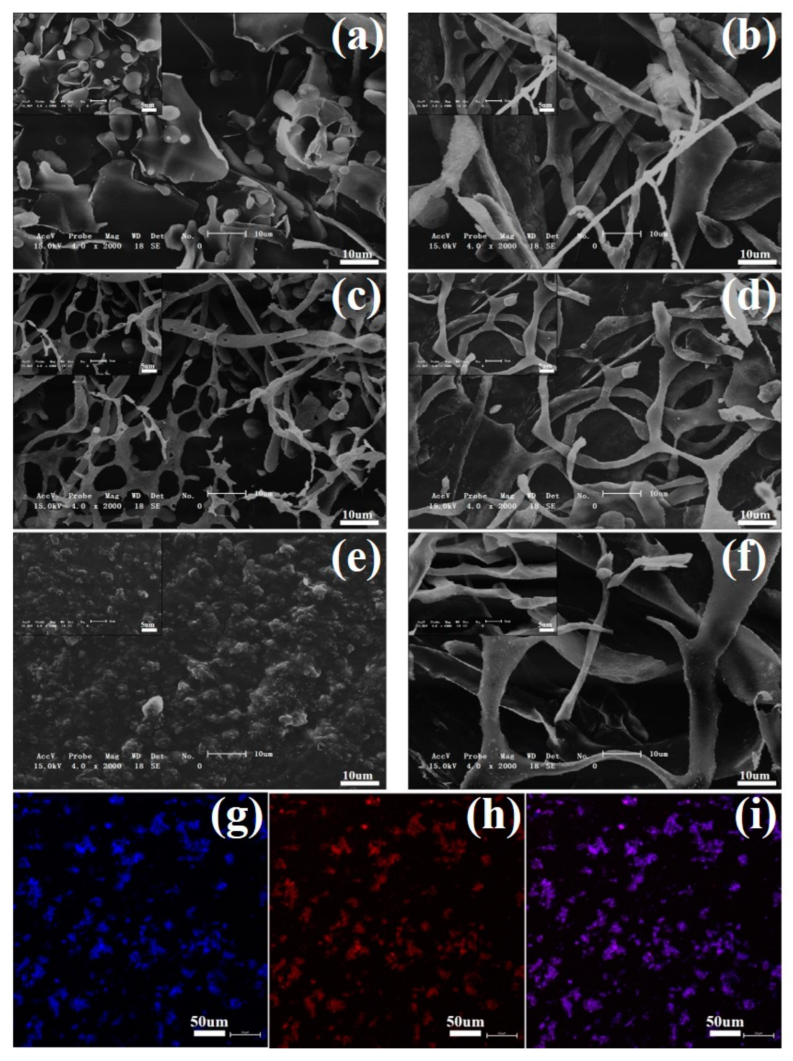 Foods 12 01609 g007 Foods 12 01609 g007