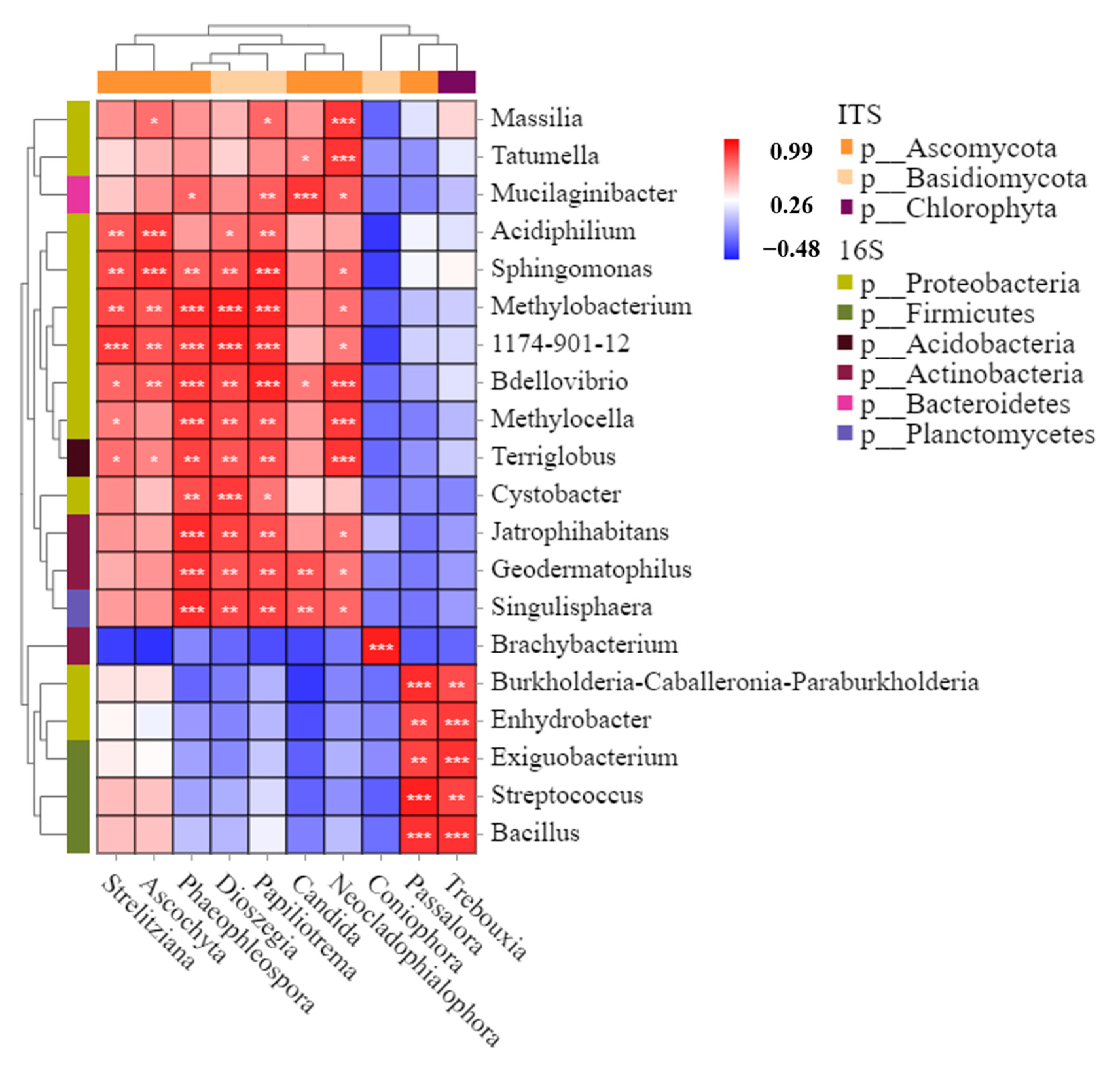 Foods 12 01611 g003 Foods 12 01611 g003