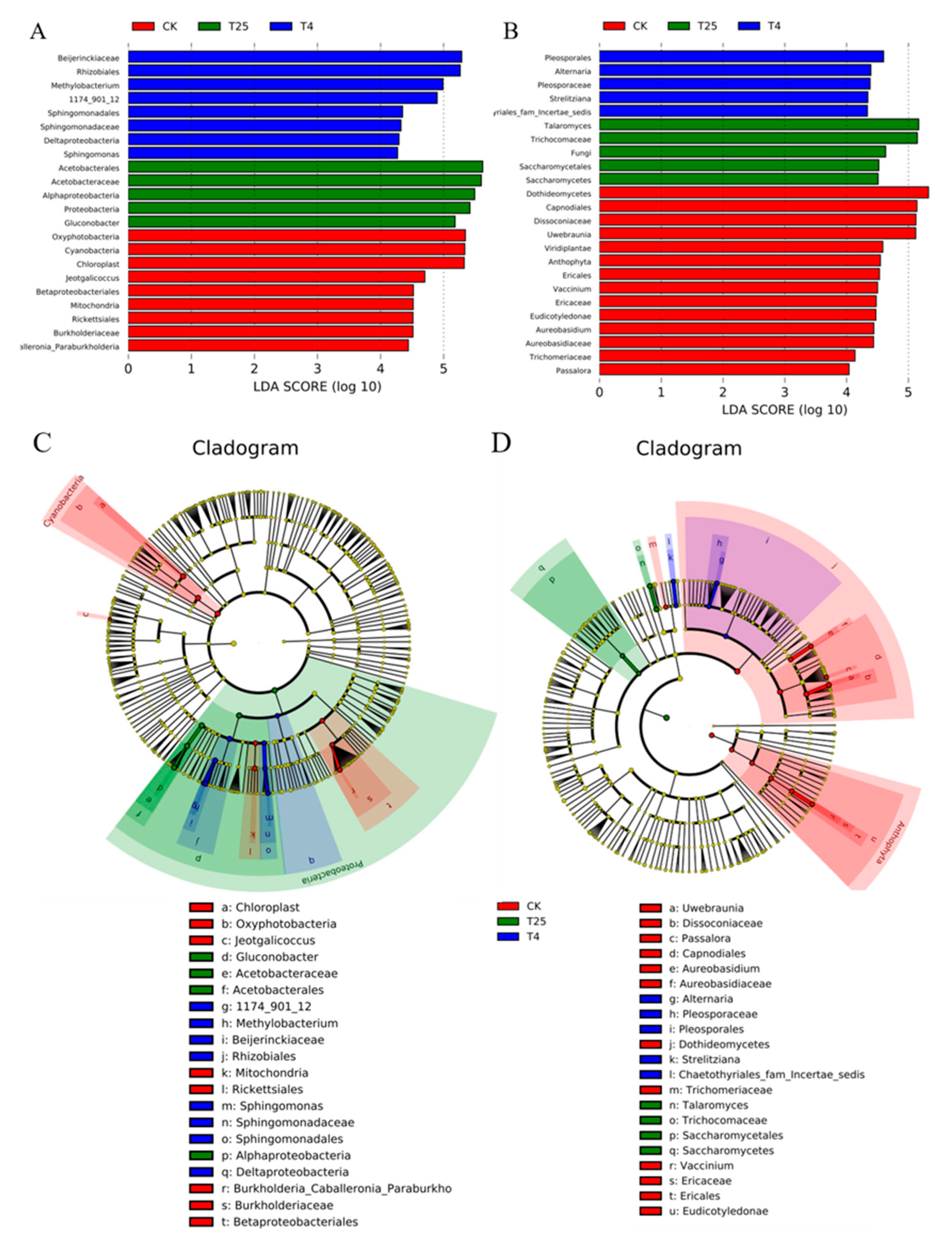 Foods 12 01611 g005 Foods 12 01611 g005
