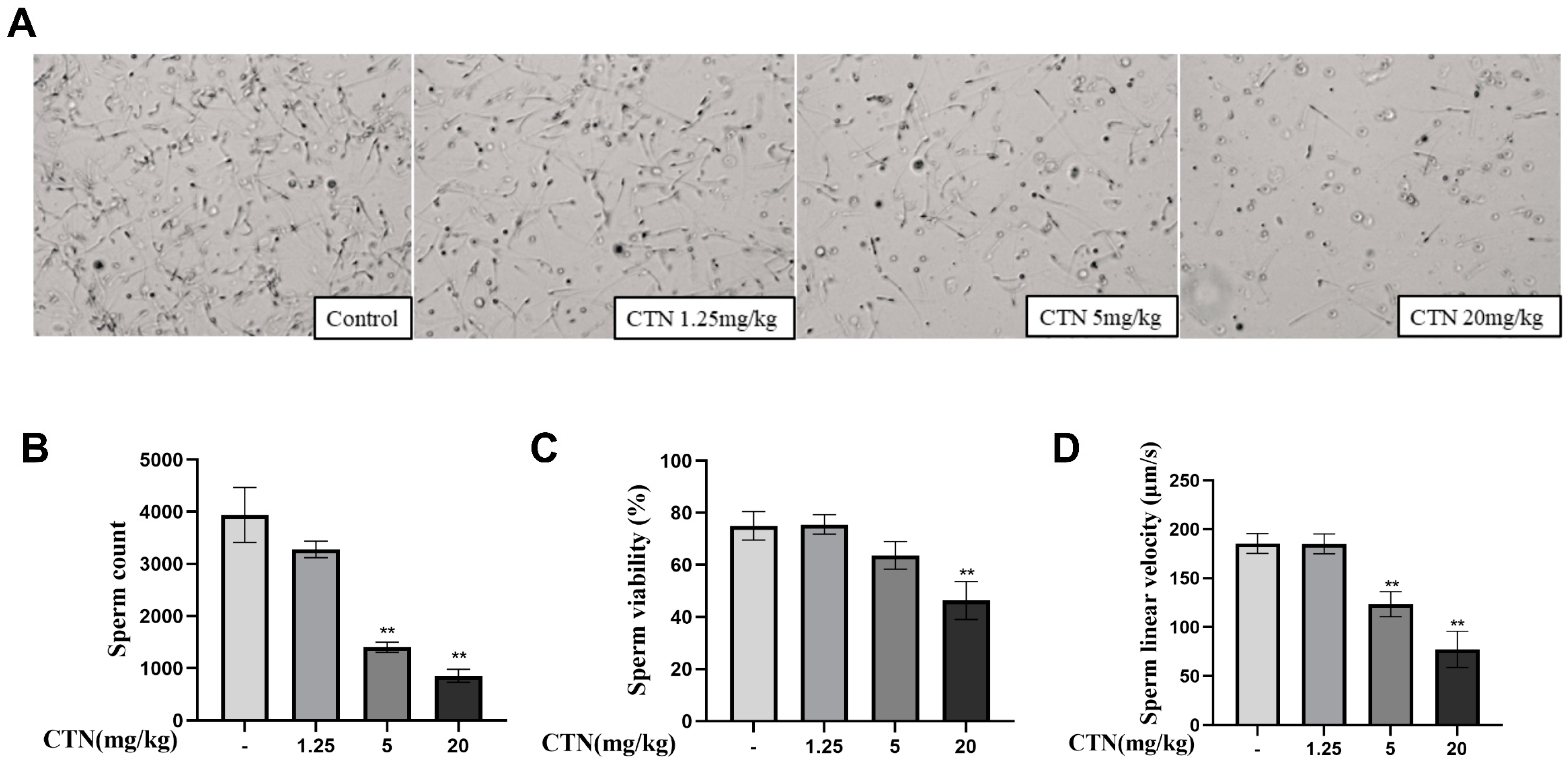 Foods 12 01616 g002 Foods 12 01616 g002