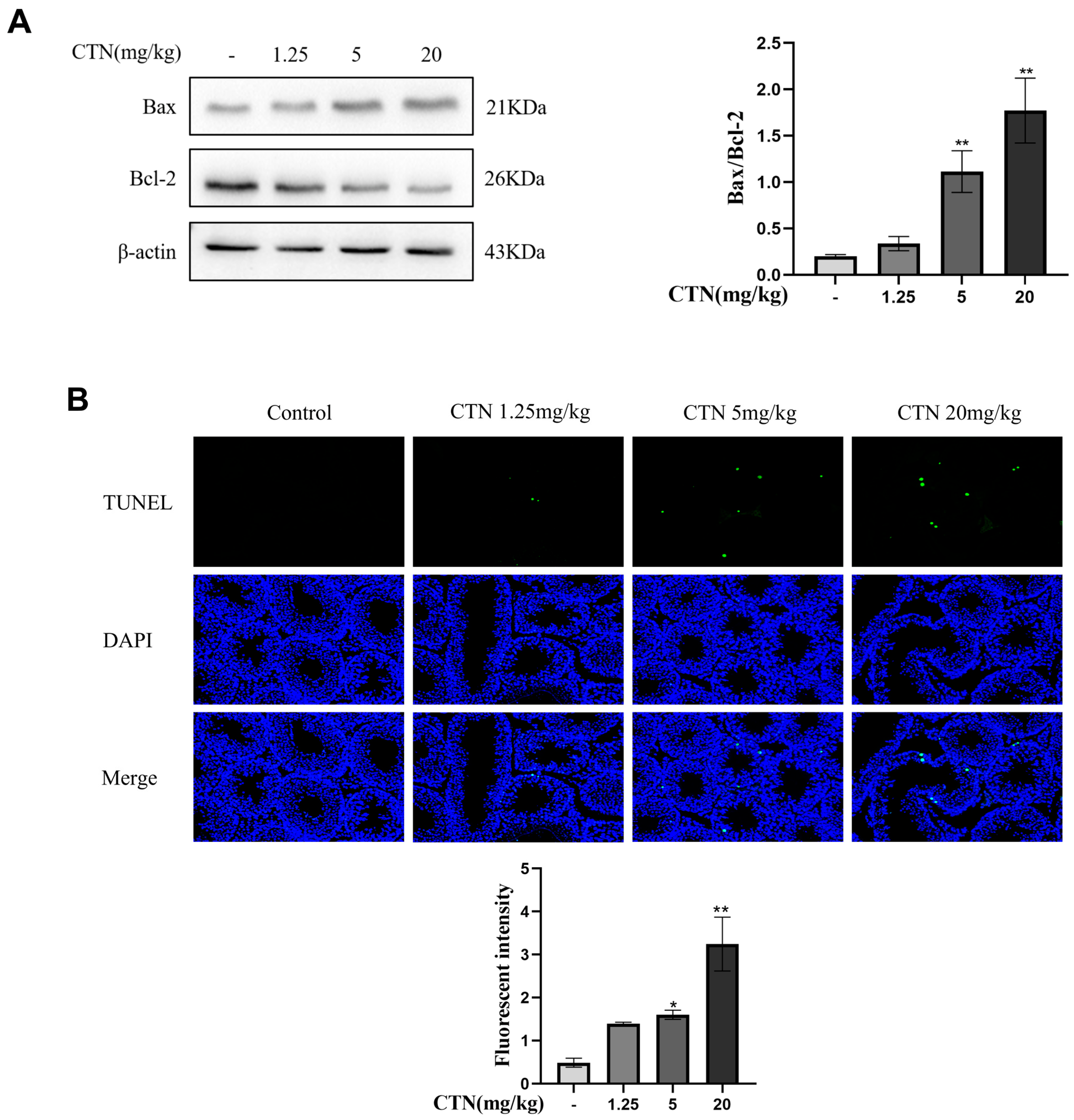 Foods 12 01616 g004 Foods 12 01616 g004
