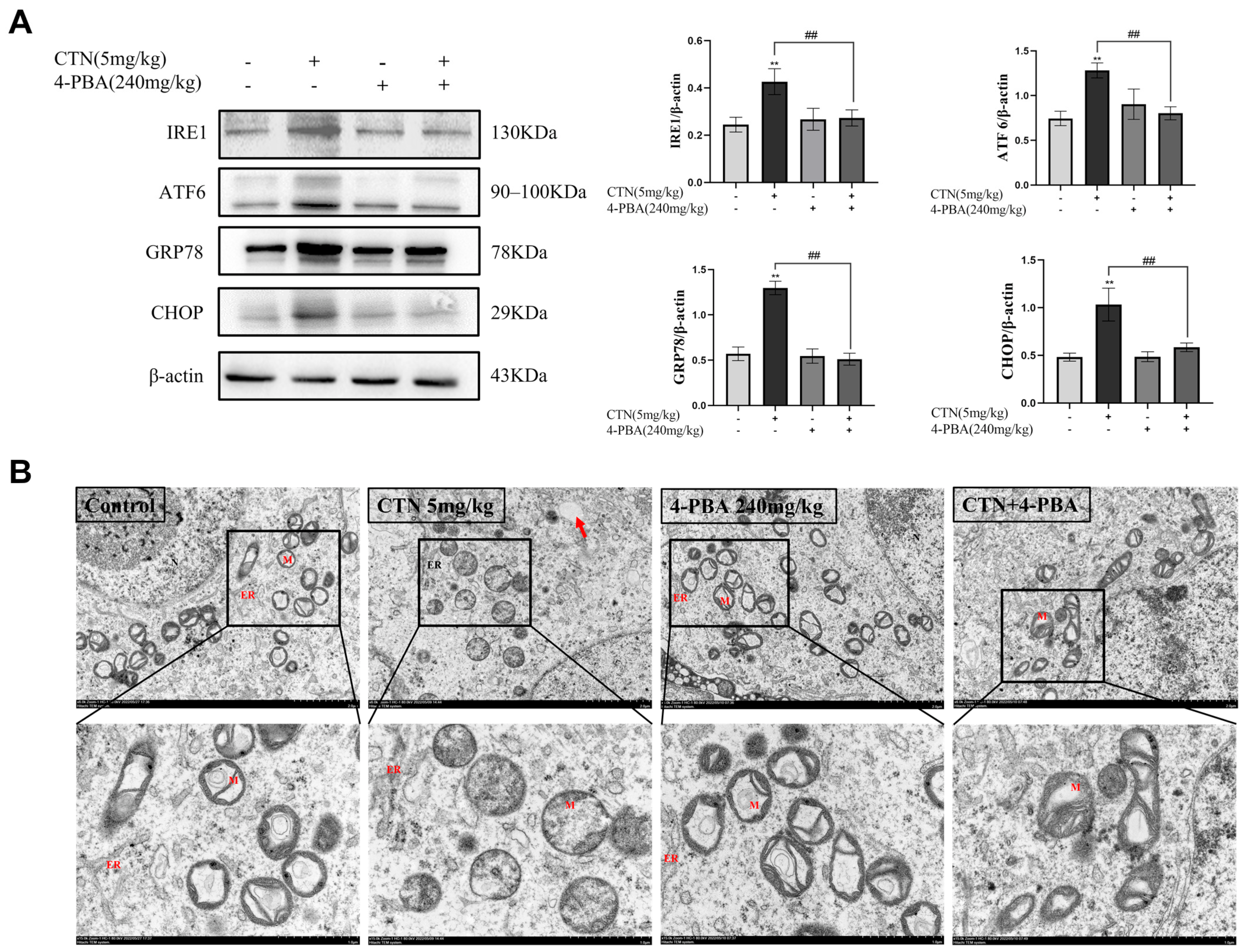 Foods 12 01616 g005 Foods 12 01616 g005