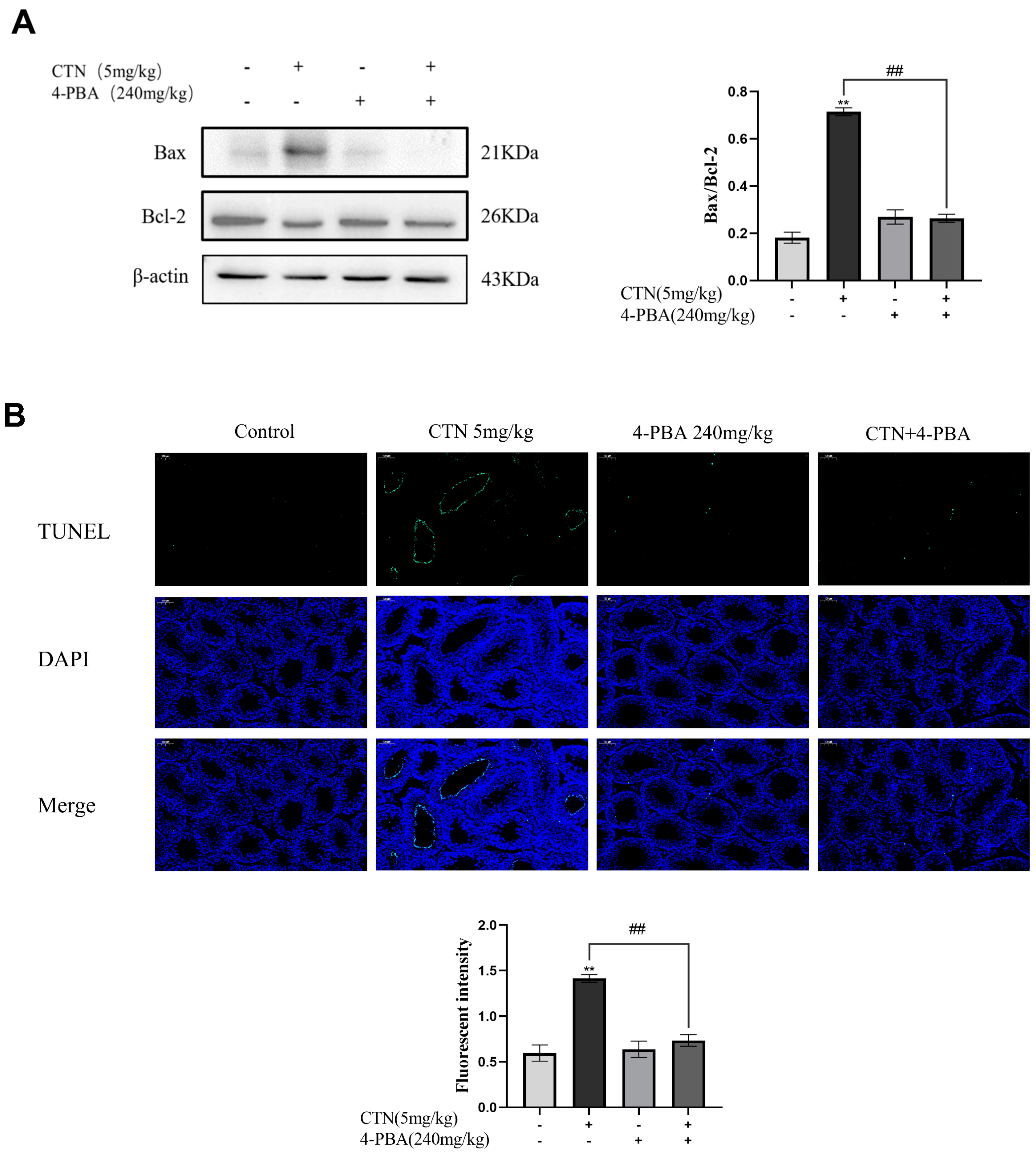 Foods 12 01616 g006 Foods 12 01616 g006