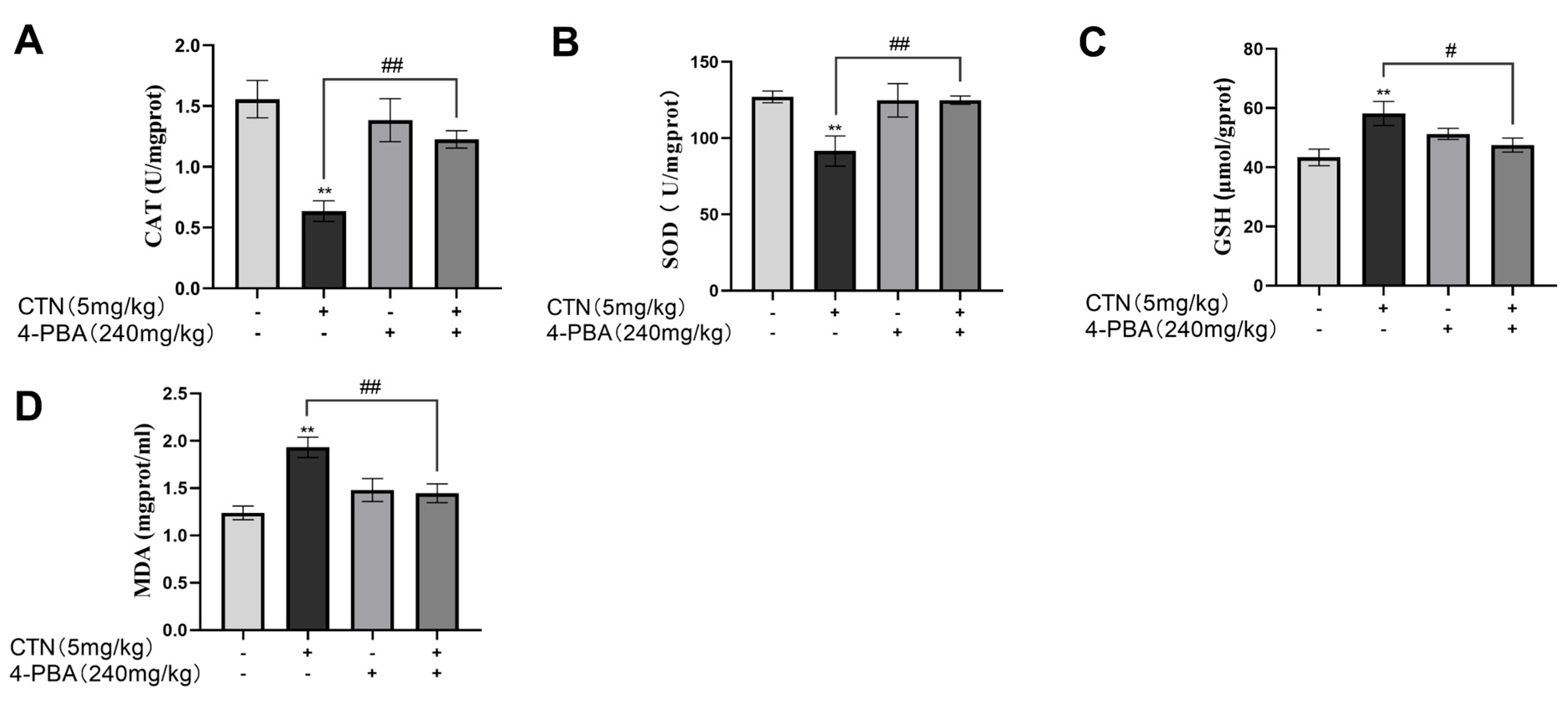 Foods 12 01616 g007a Foods 12 01616 g007a