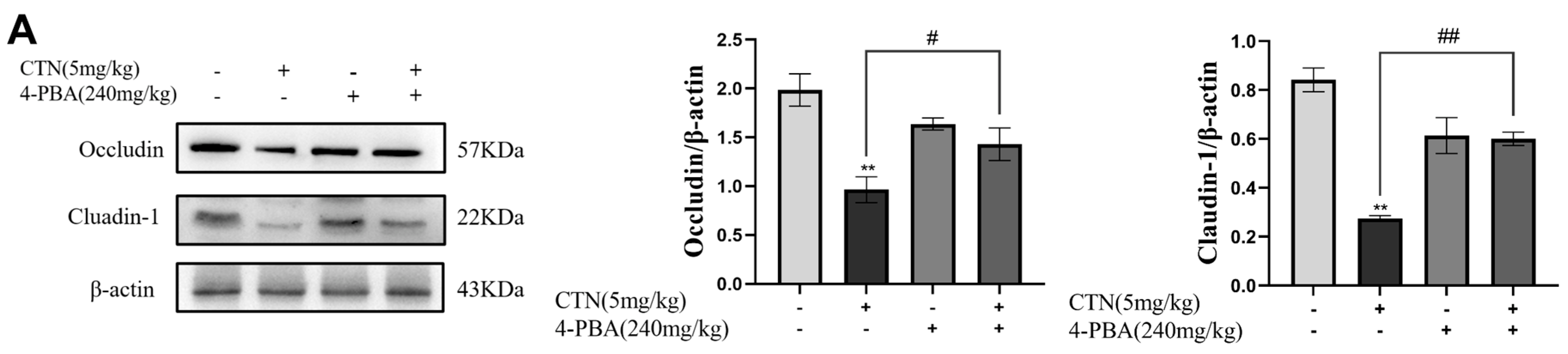 Foods 12 01616 g008a Foods 12 01616 g008a