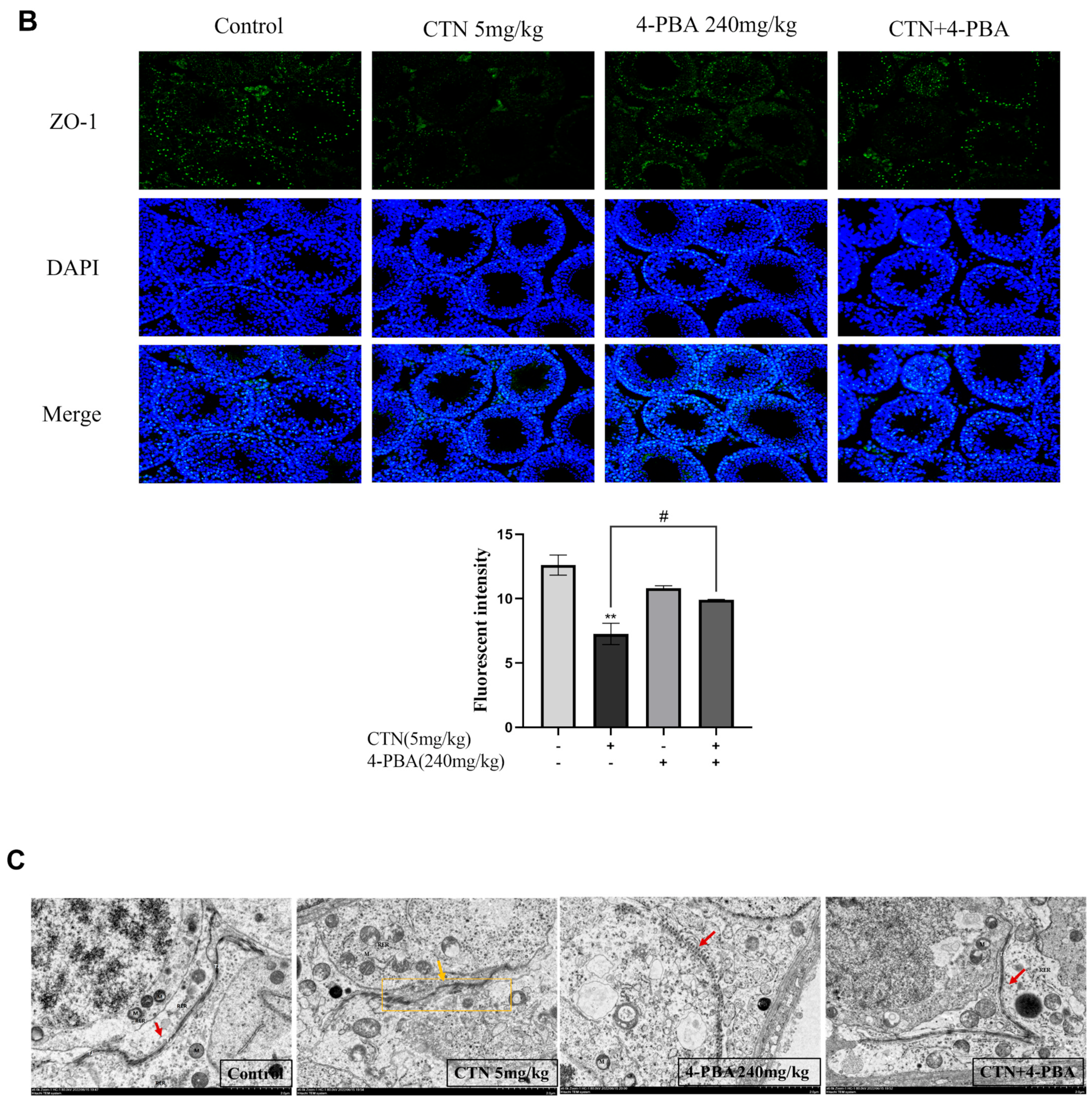 Foods 12 01616 g008b Foods 12 01616 g008b