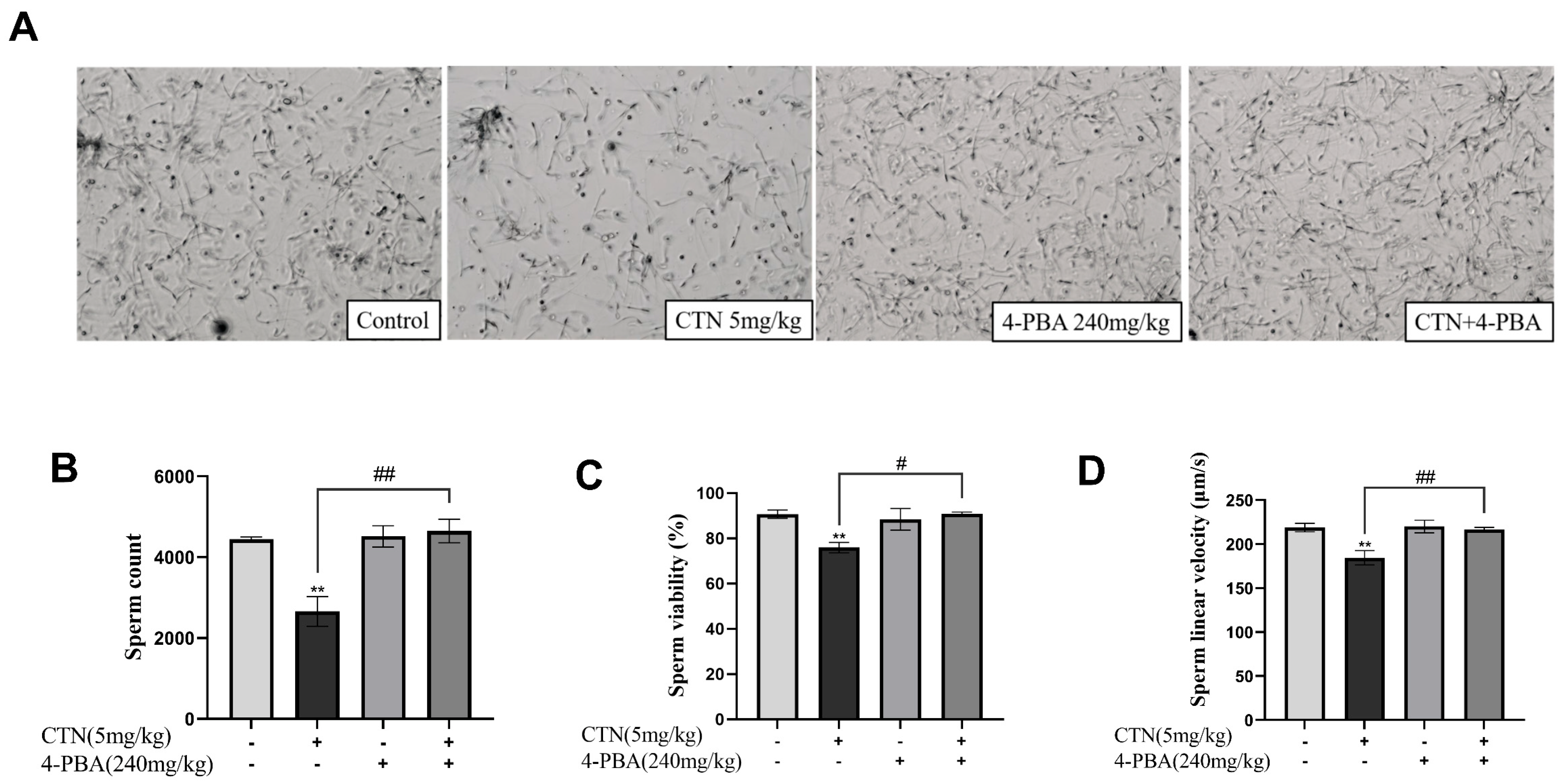 Foods 12 01616 g010 Foods 12 01616 g010