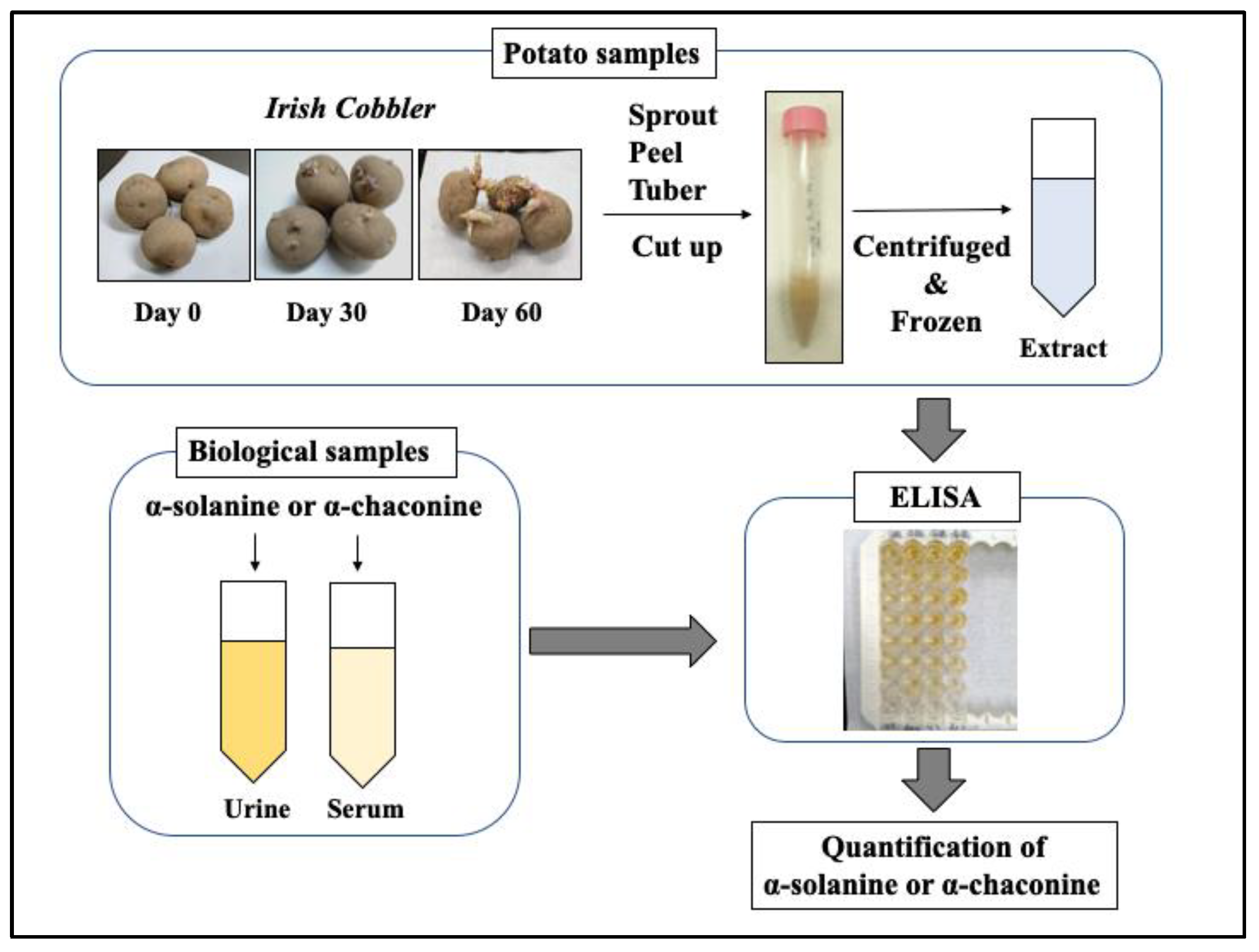 Foods 12 01621 g001 Foods 12 01621 g001