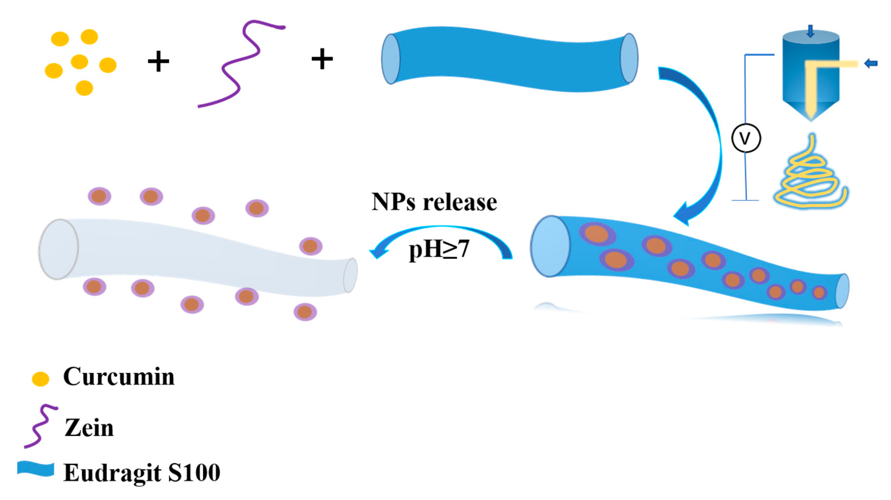 Foods 12 01623 g001 Foods 12 01623 g001
