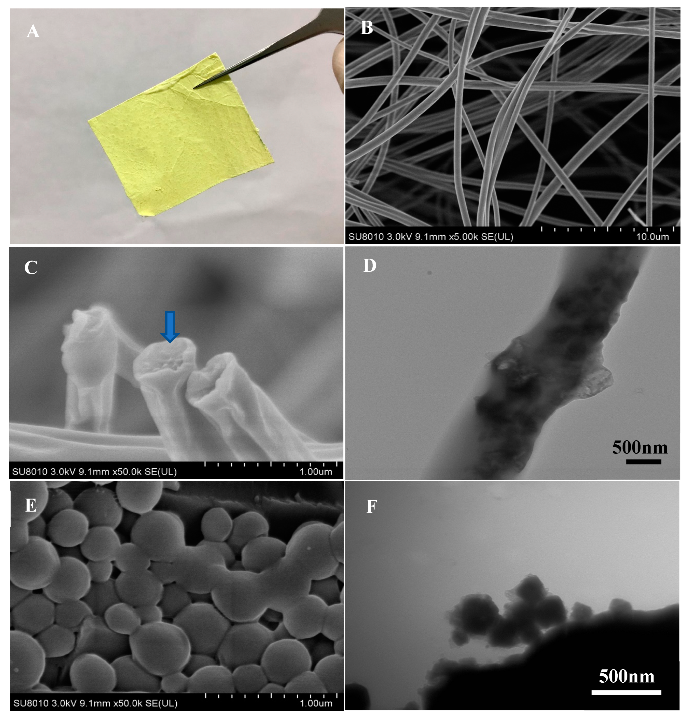 Foods 12 01623 g002 Foods 12 01623 g002