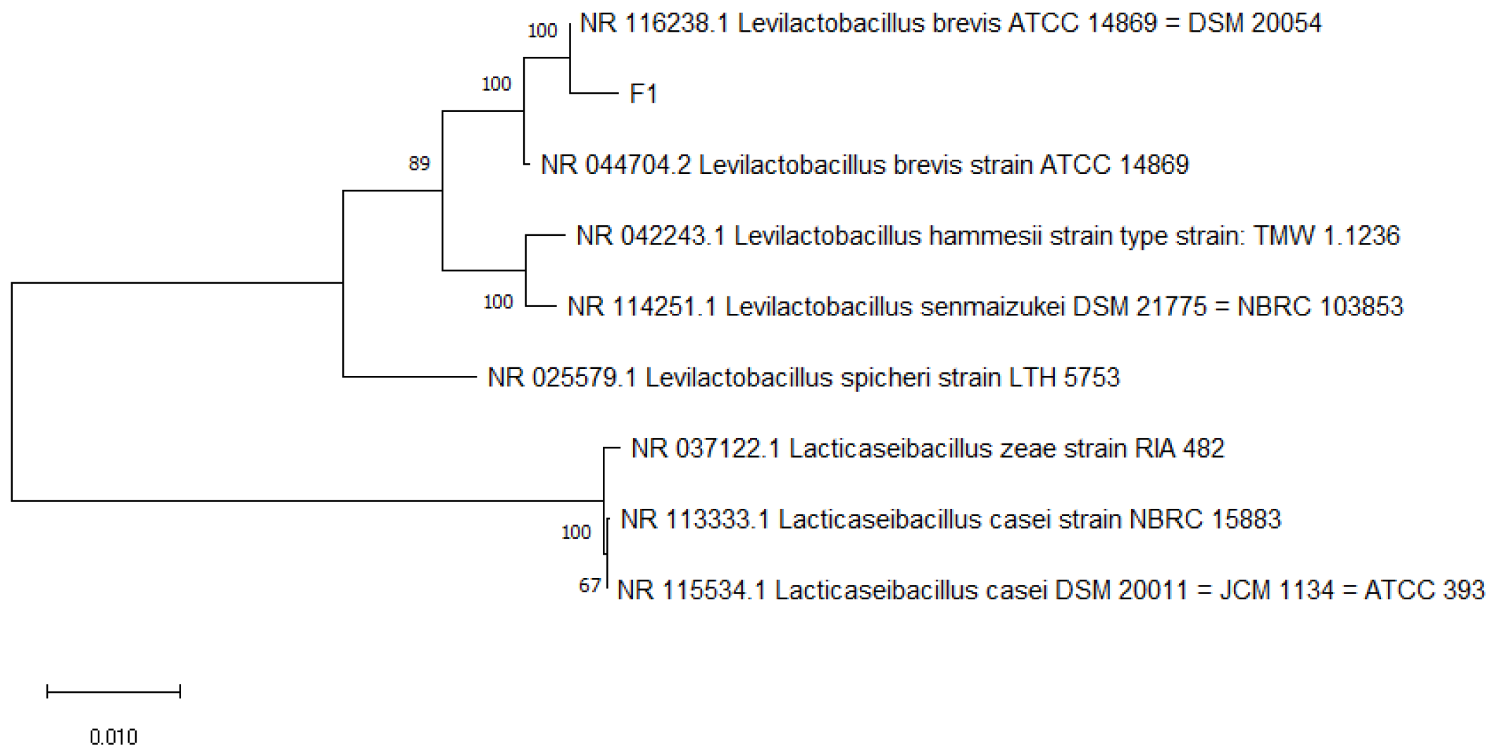 Foods 12 01628 g002 Foods 12 01628 g002