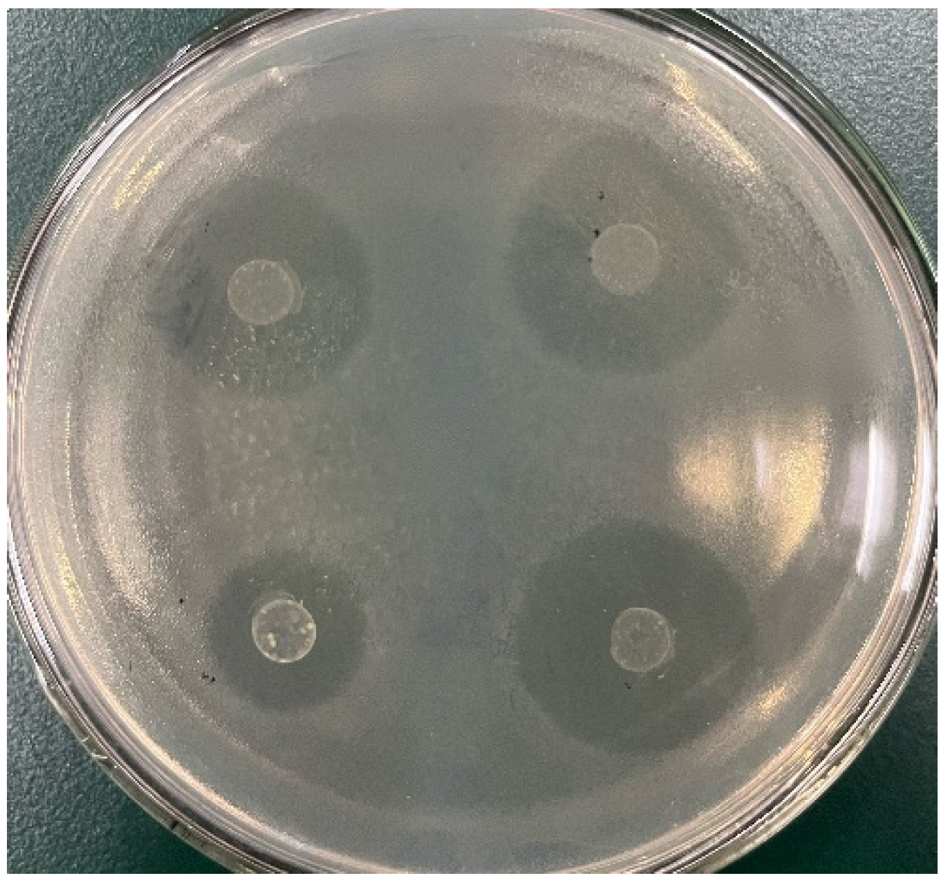 Foods 12 01628 g003 Foods 12 01628 g003